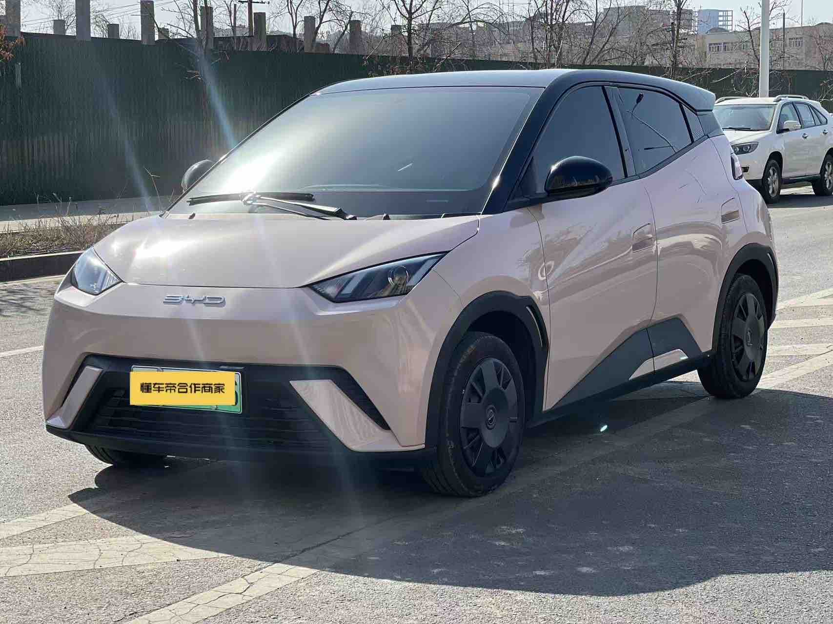 BYD Seagull 2024 immagine di auto 