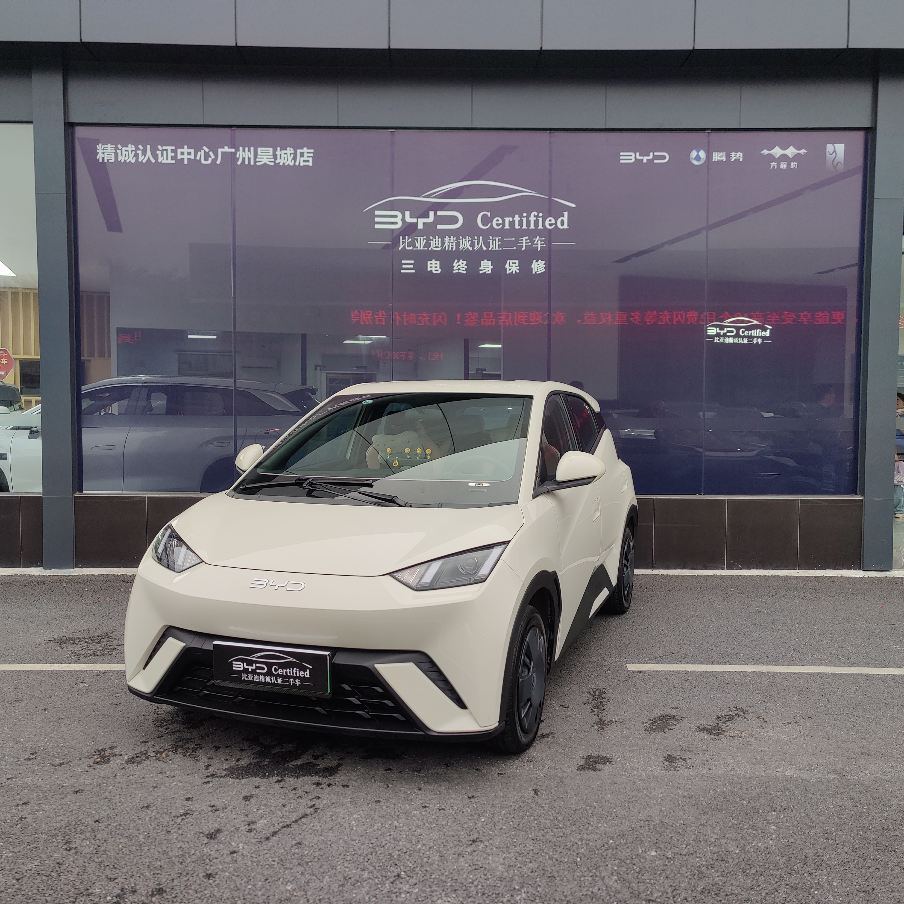 BYD Seagull 2024 immagine di auto 