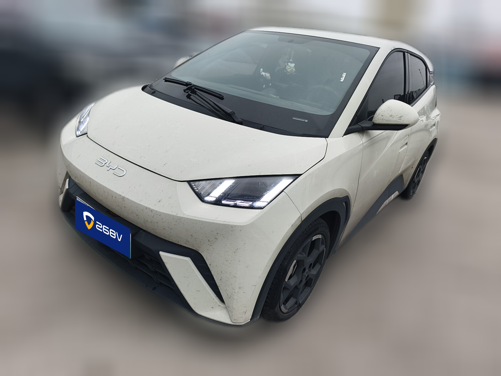 BYD Seagull 2024 car image 