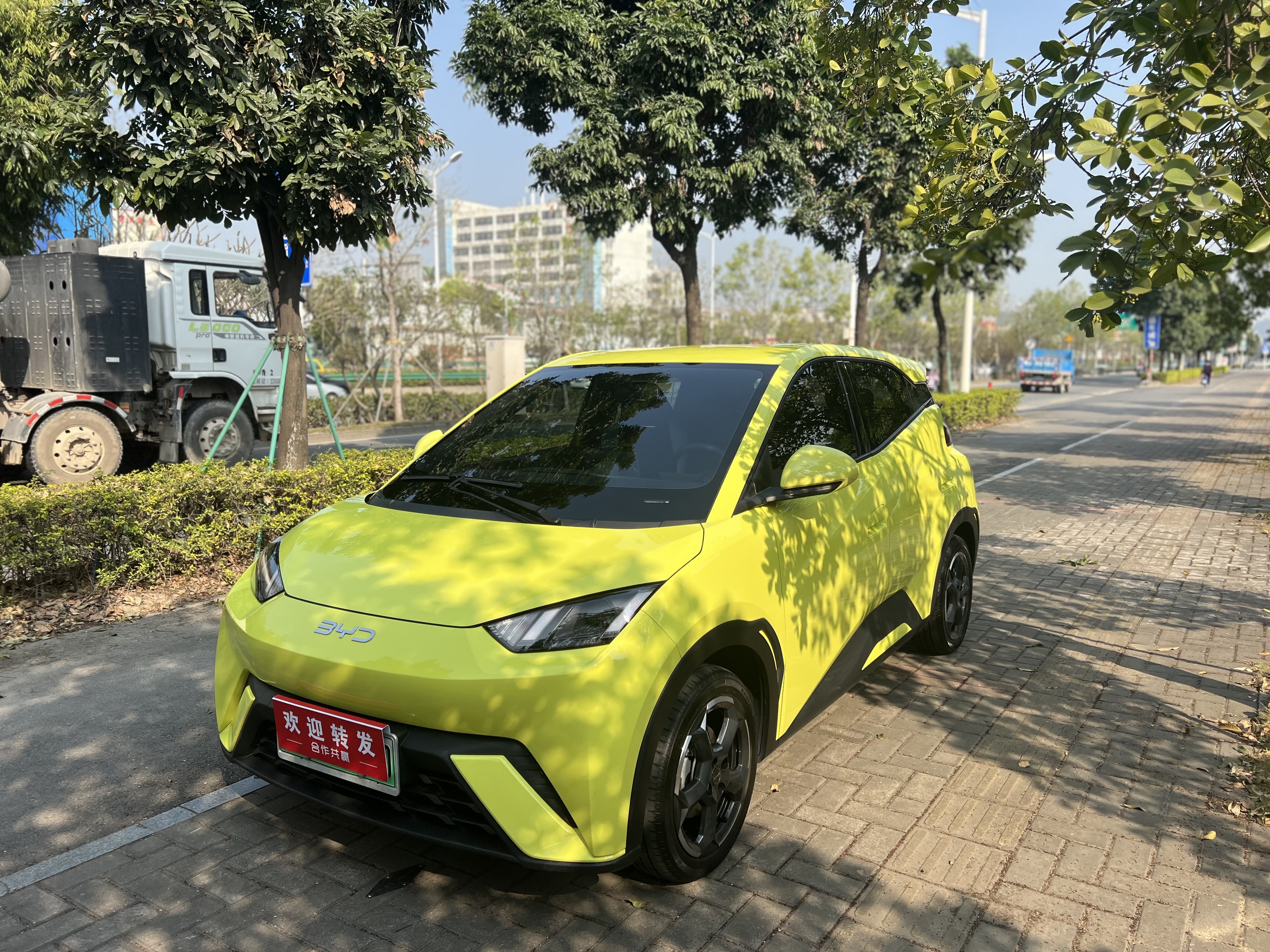 BYD Seagull 2024 immagine di auto 