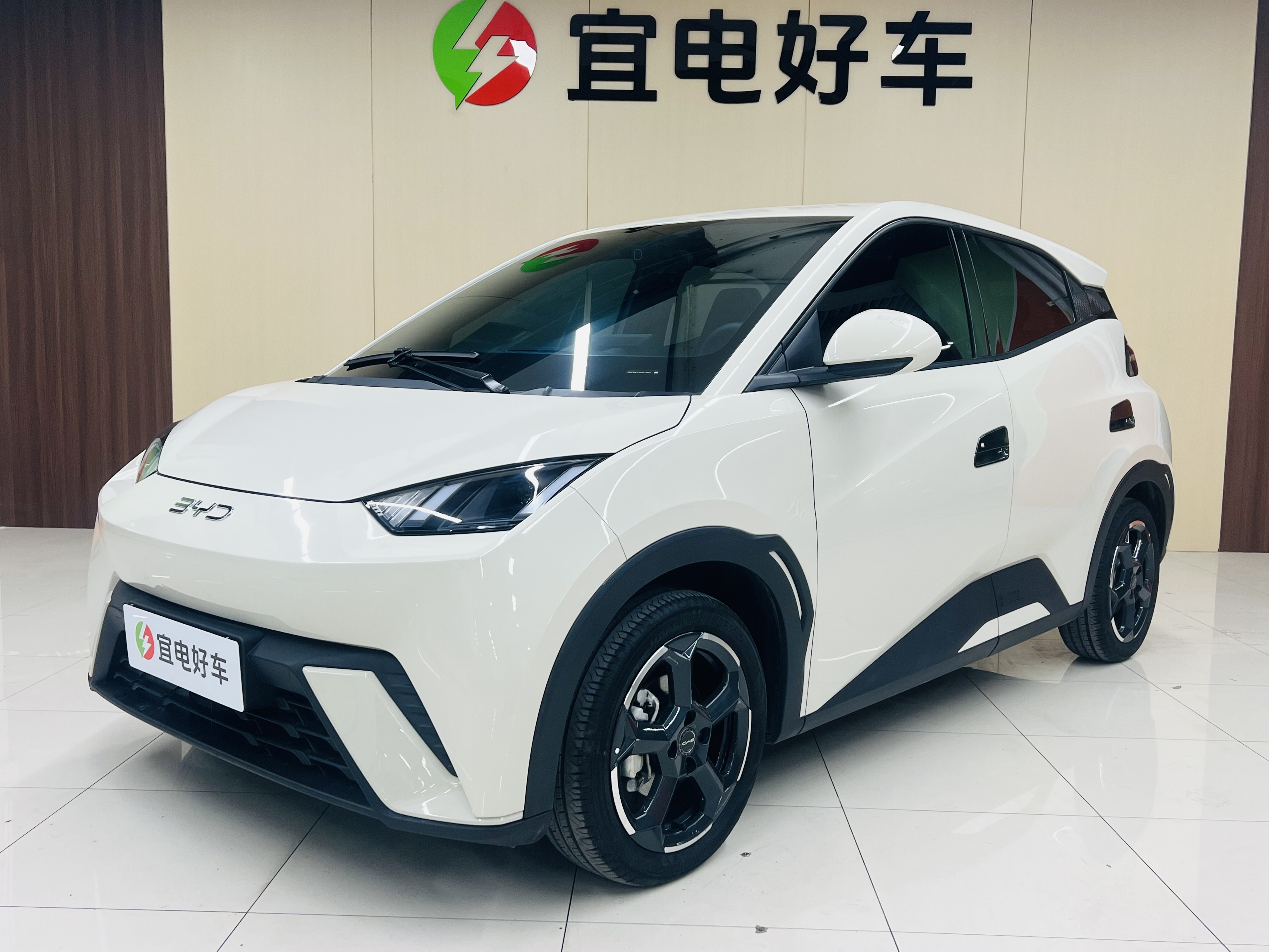 BYD Seagull 2024 car image 