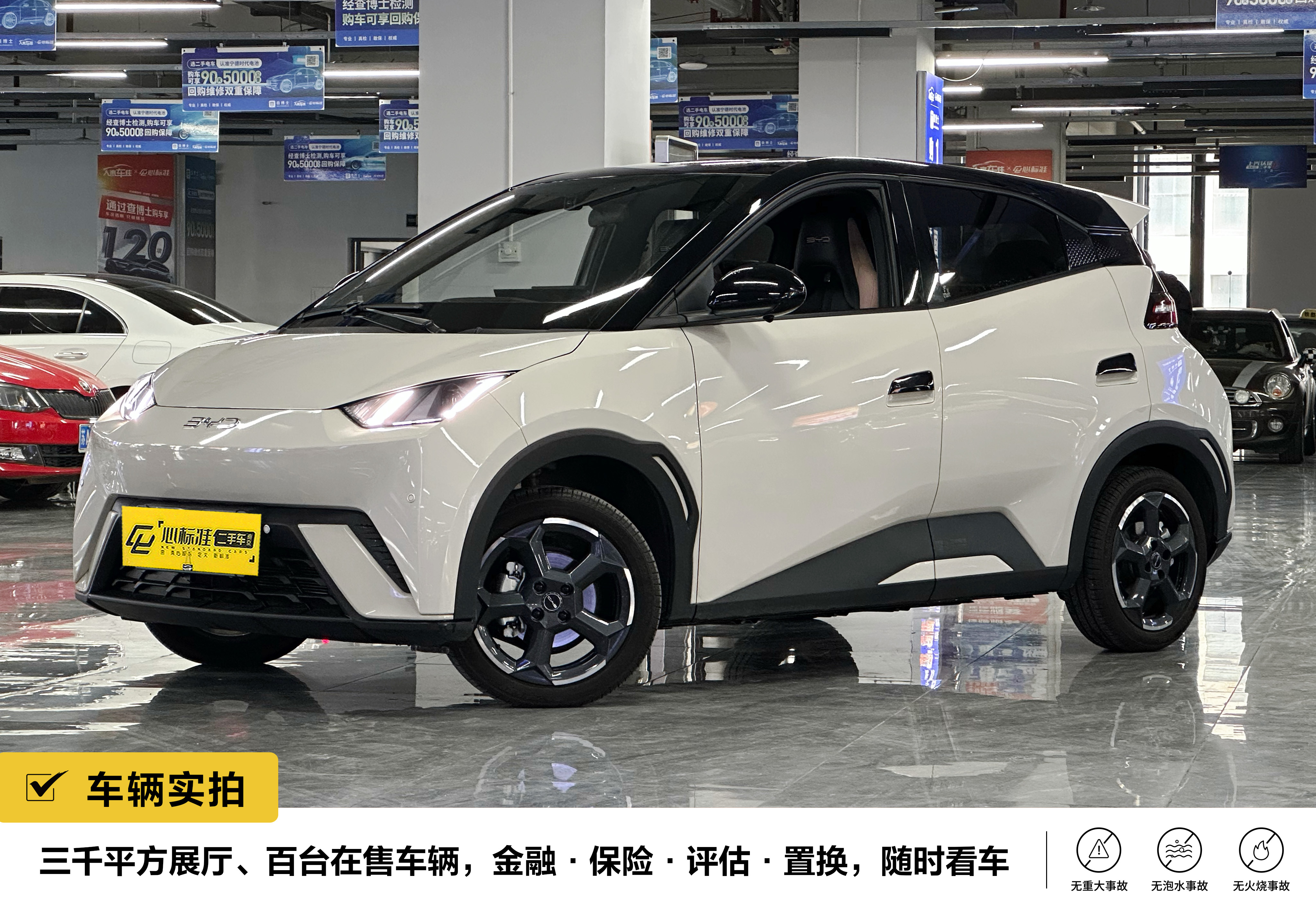 BYD Seagull 2024 car image 