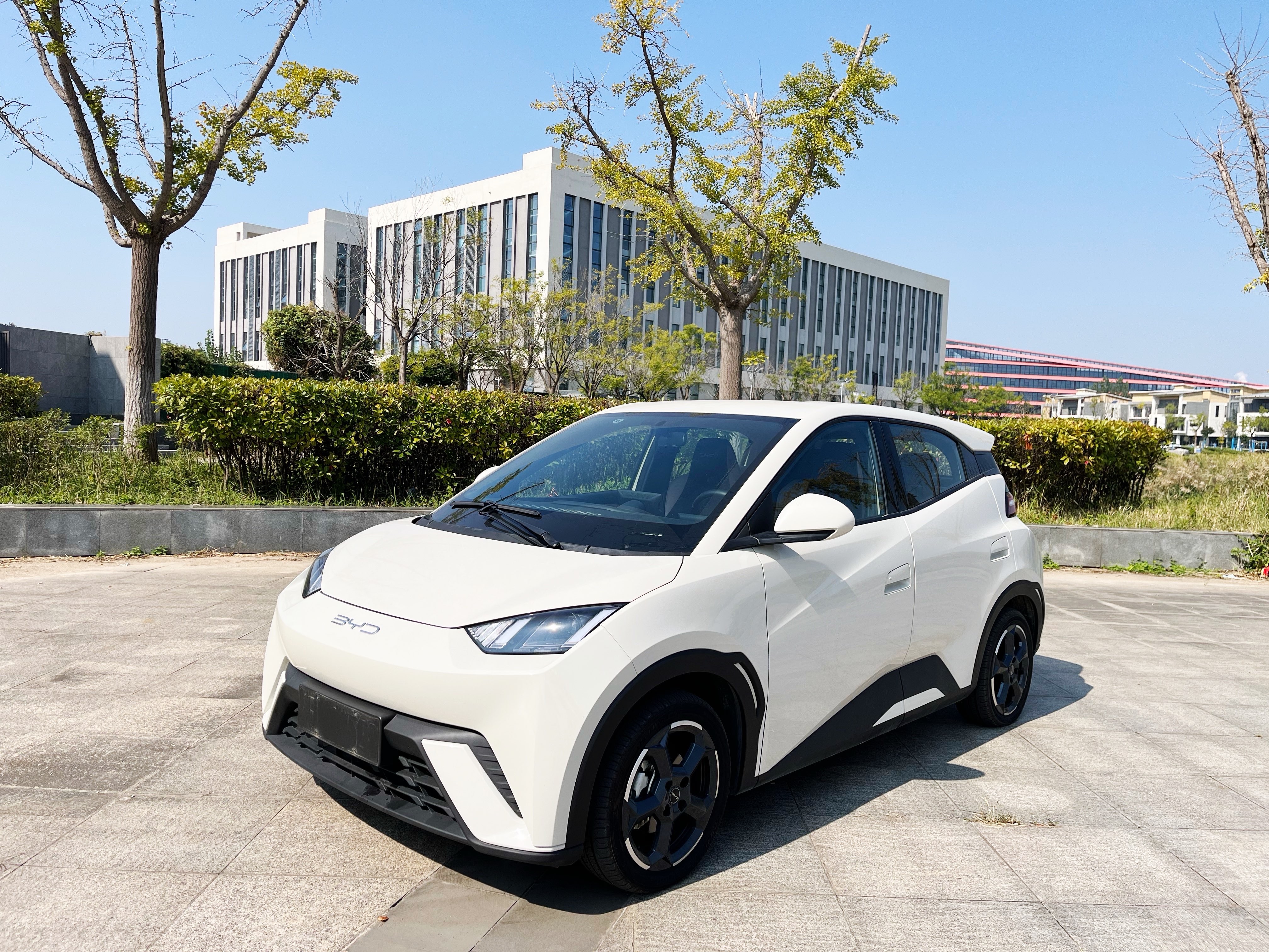 BYD Seagull 2024 car image 