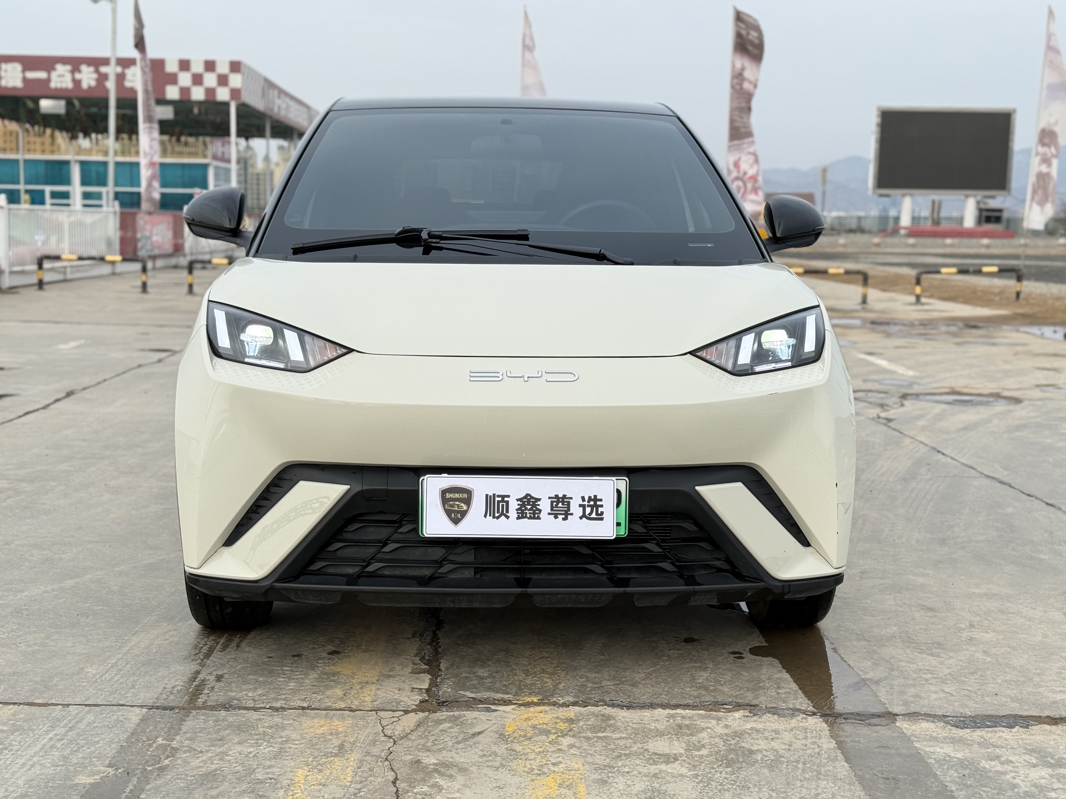 BYD Seagull 2024 immagine di auto 