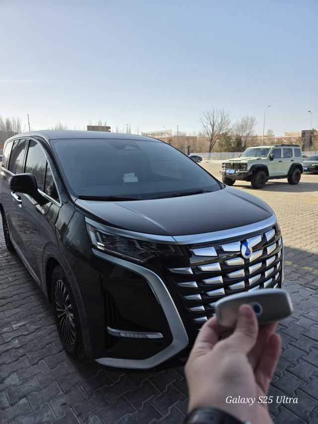 Denza D9 2025 car image 