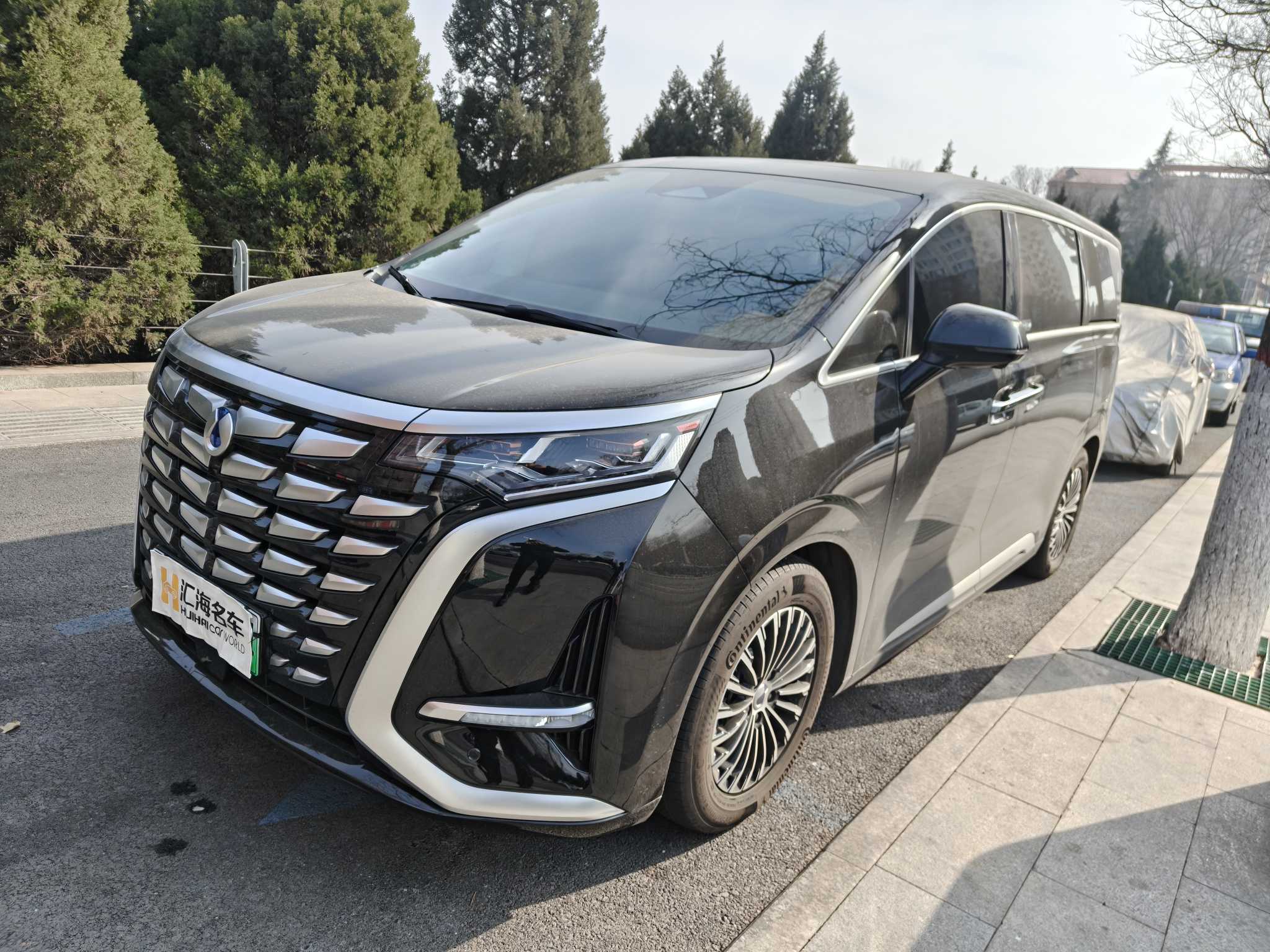 Denza D9 2025 car image 