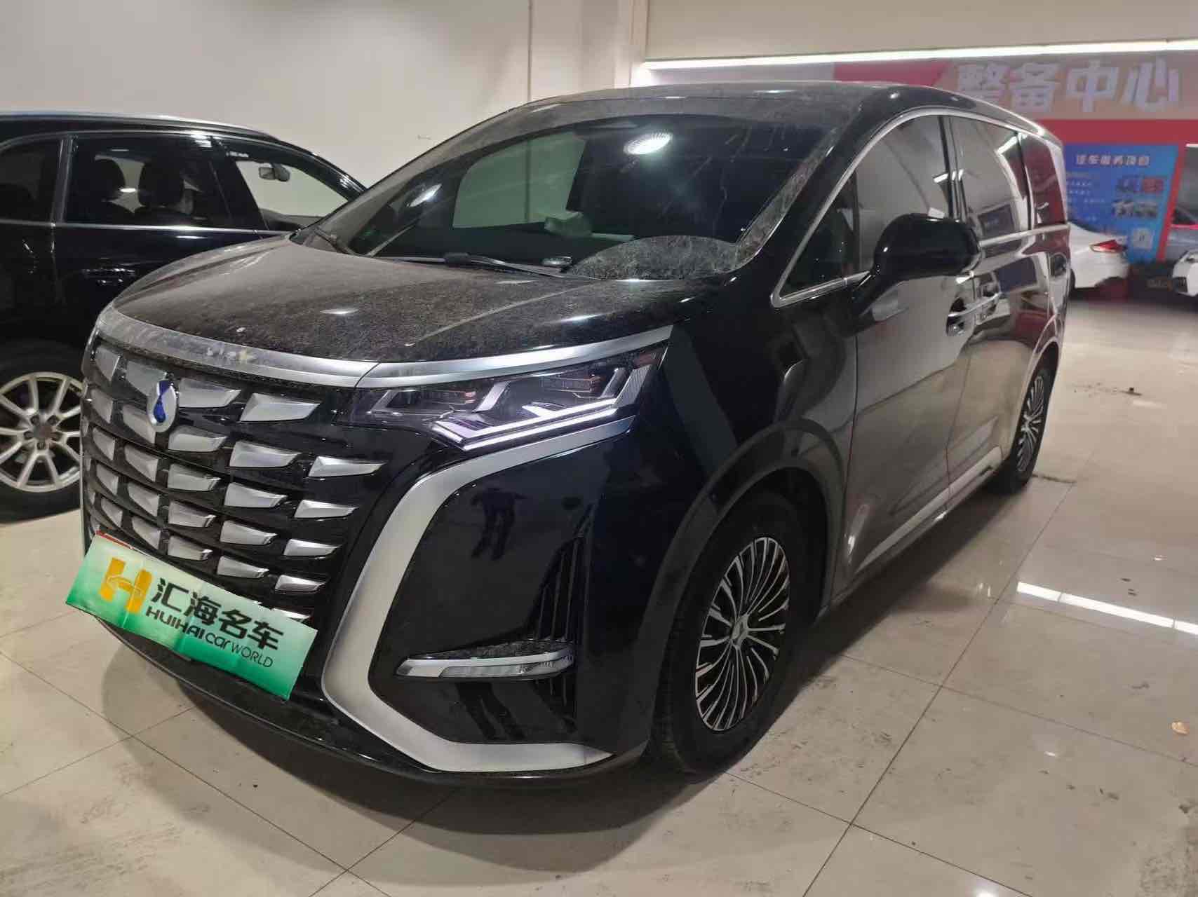 Denza D9 2025 immagine di auto 