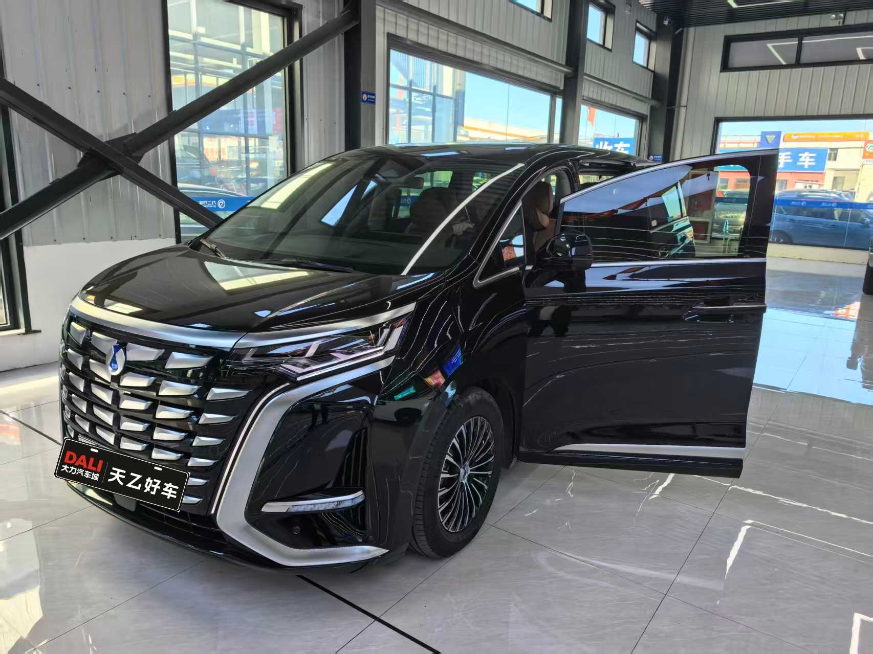 Denza D9 2025 car image 