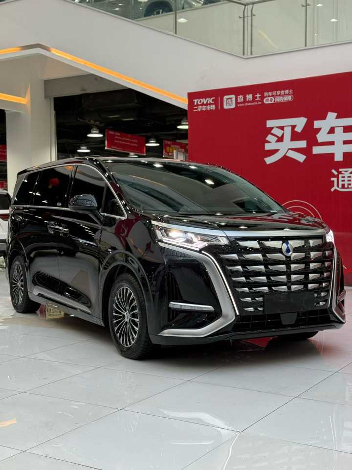 Denza D9 2025 car image 