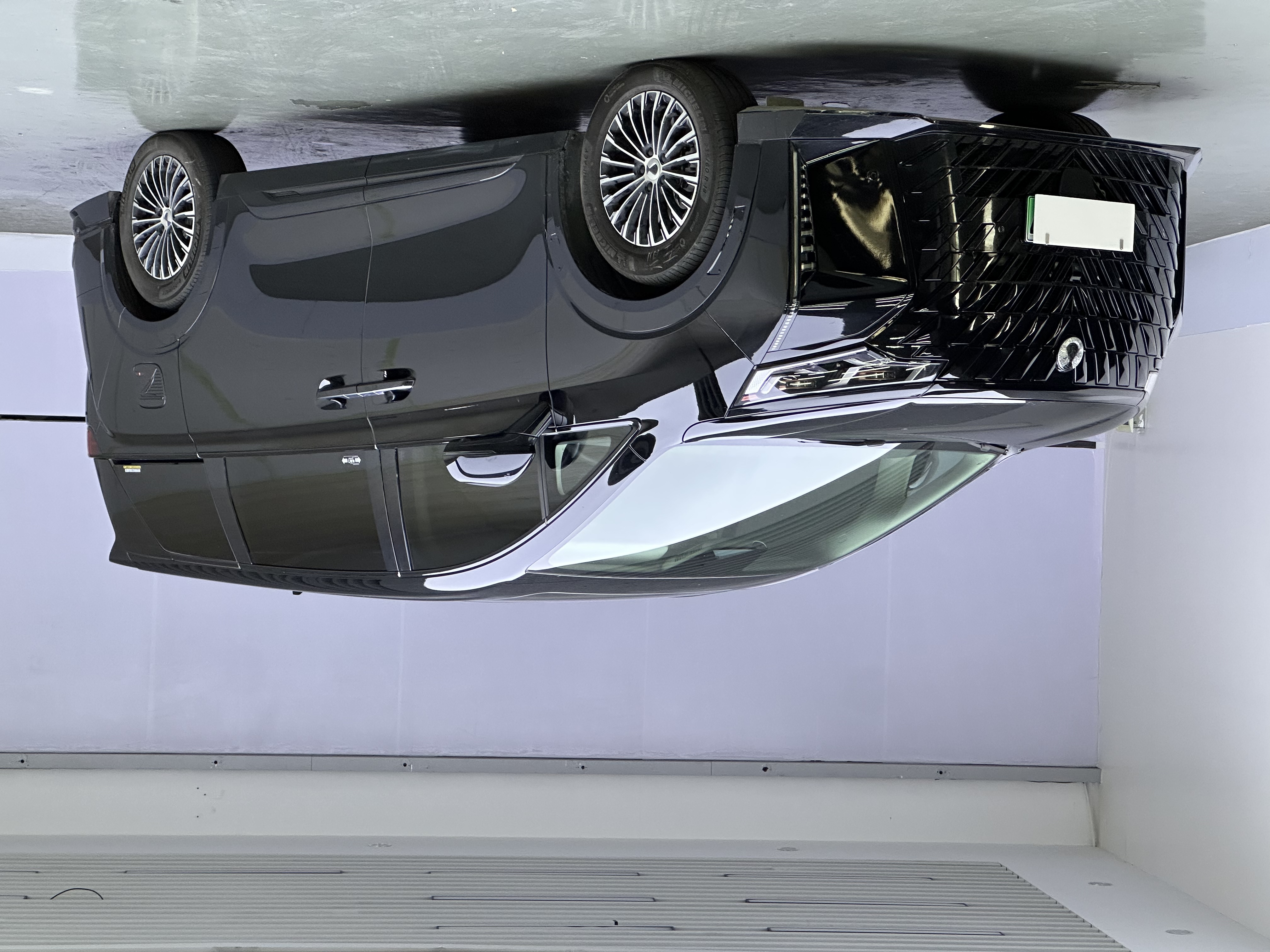 Denza D9 2024 immagine di auto 