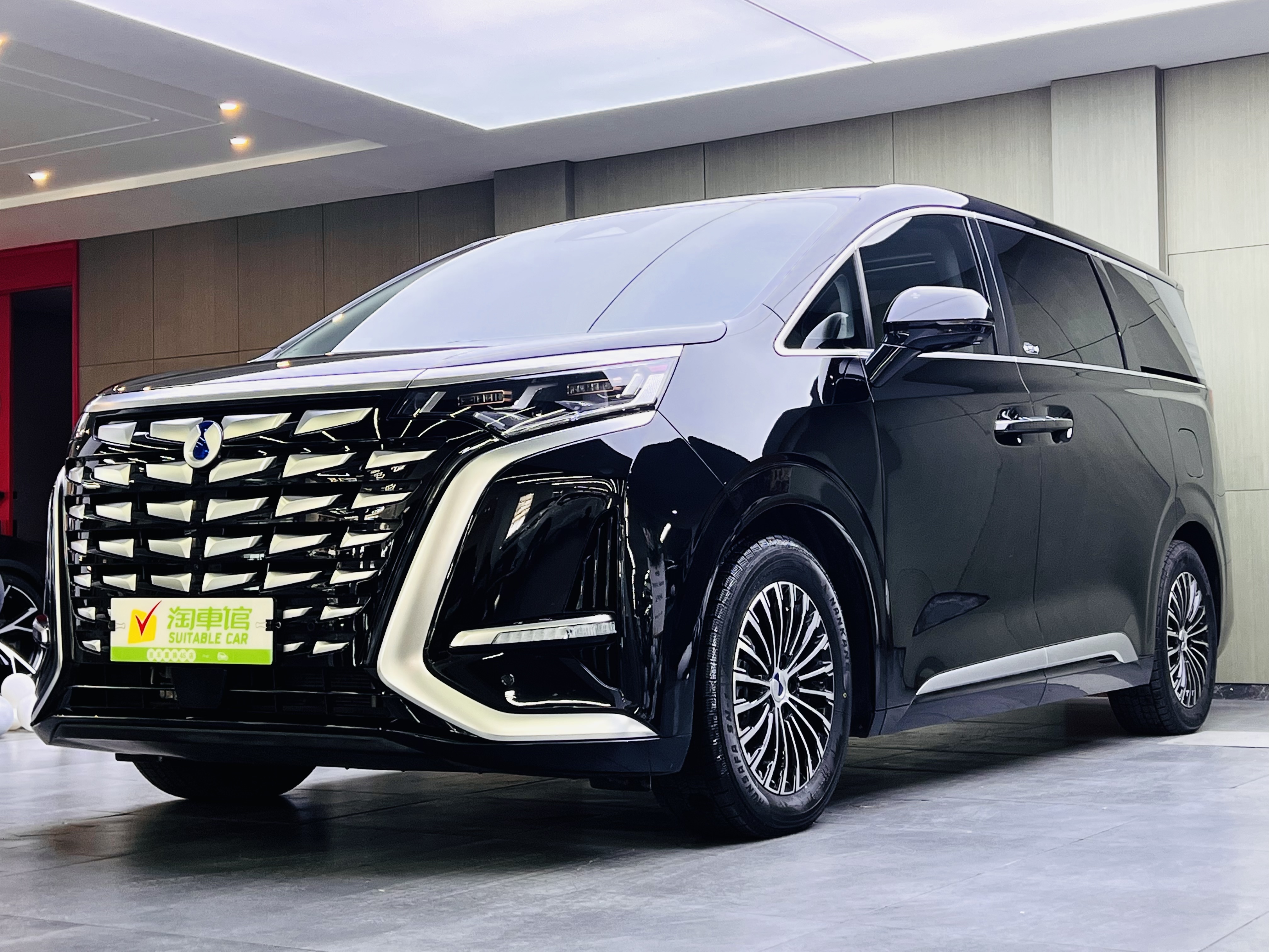 Denza D9 2025 immagine di auto 