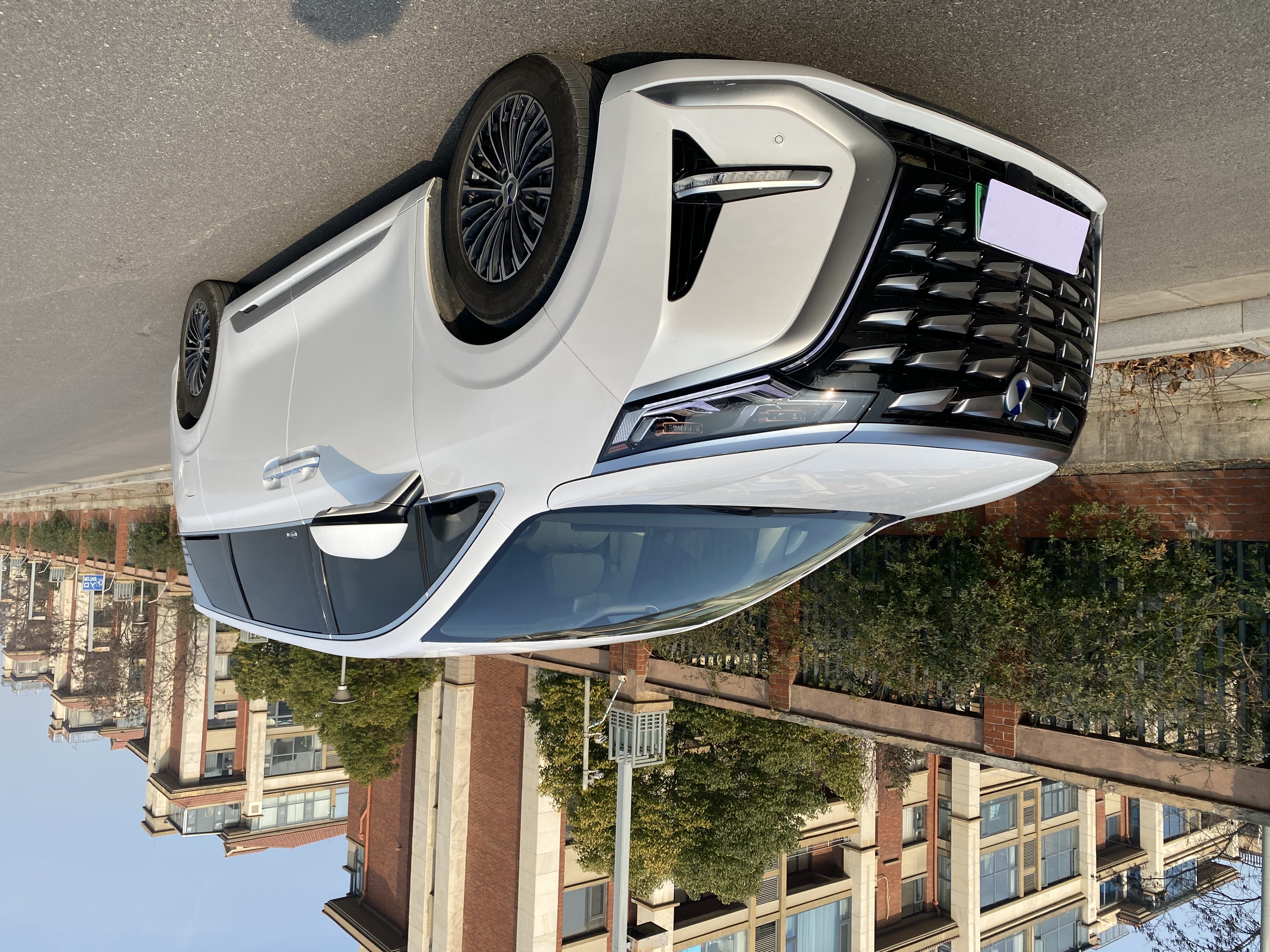 Denza D9 2024 immagine di auto 