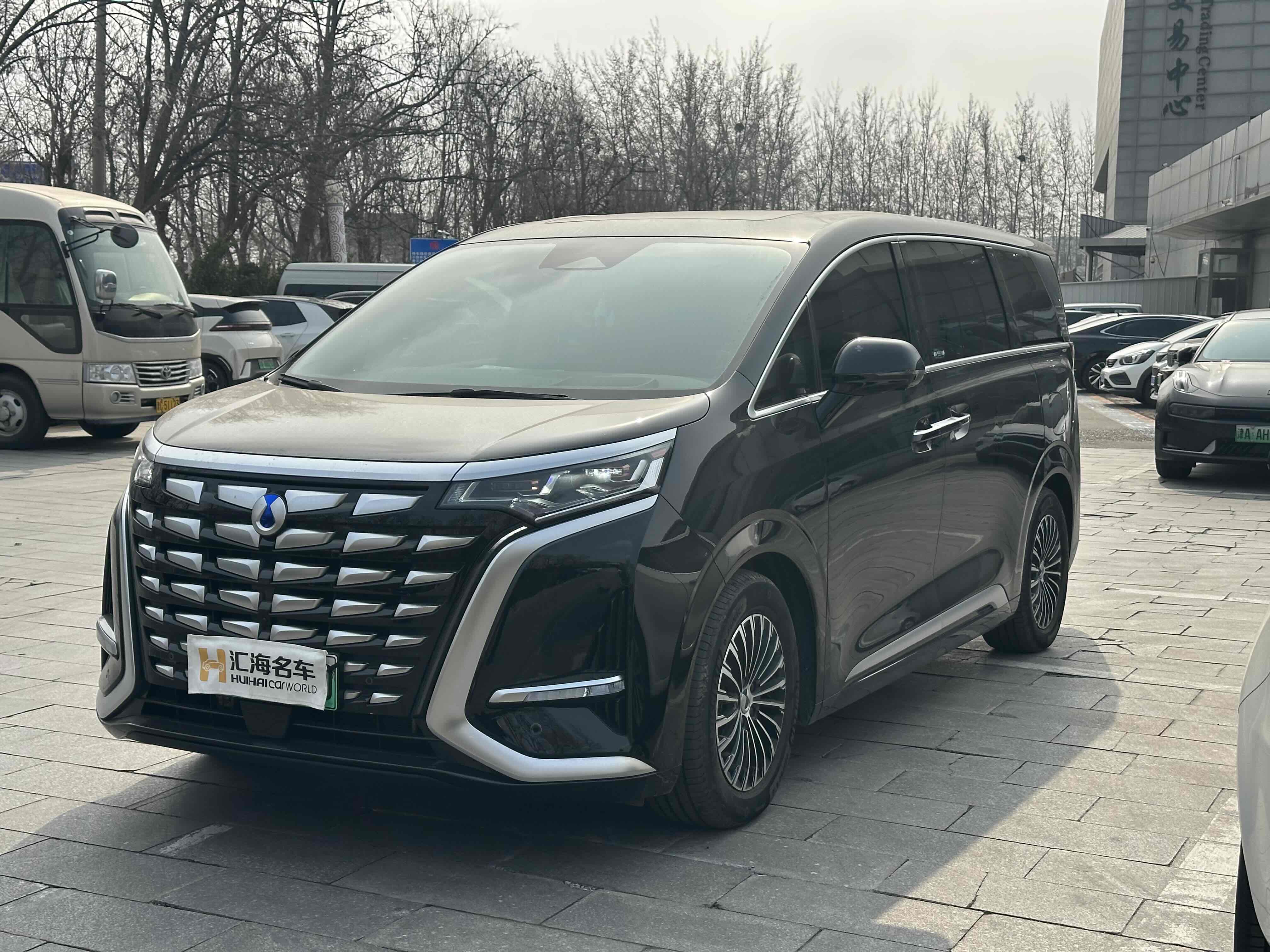 Denza D9 2024 car image 