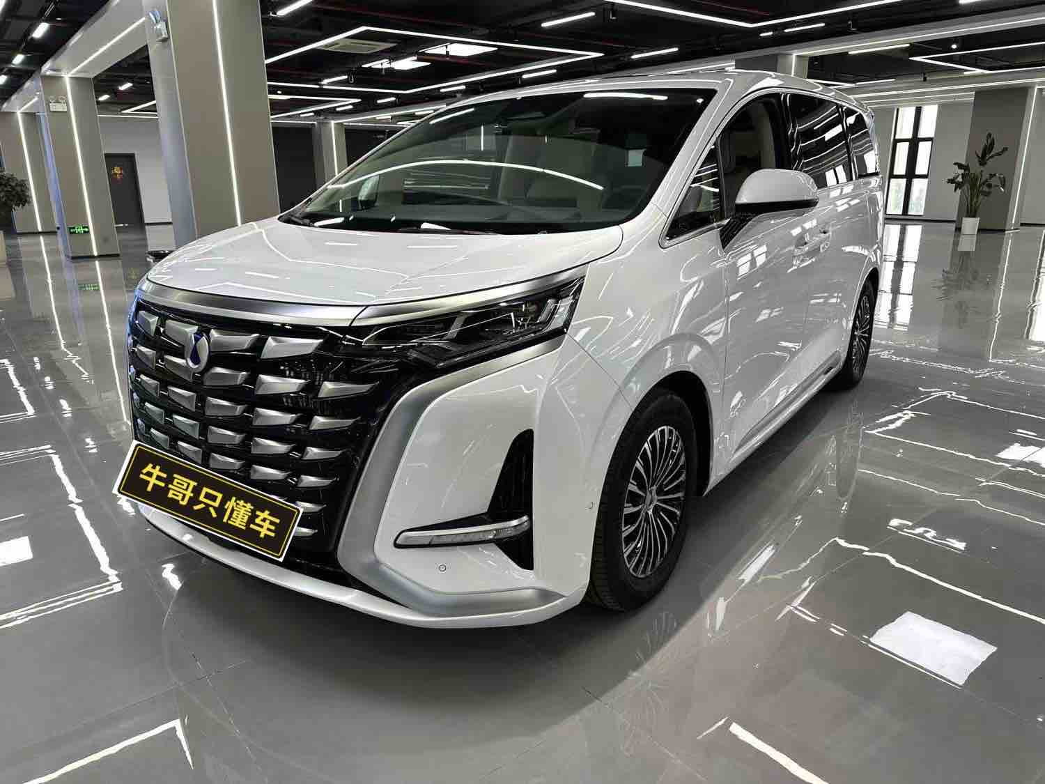 Denza D9 2024 صورة سيارة 