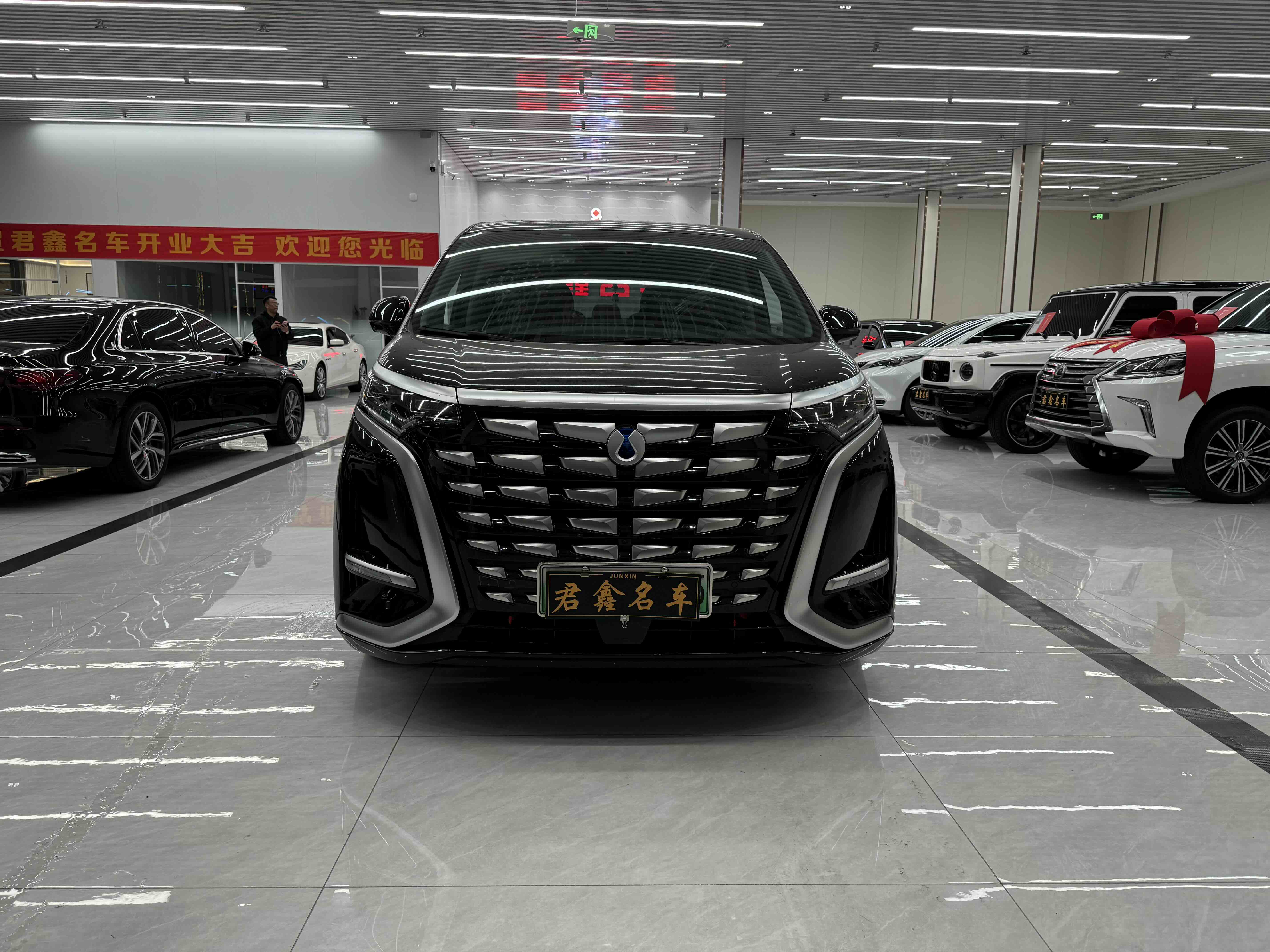 Denza D9 2024 car image 