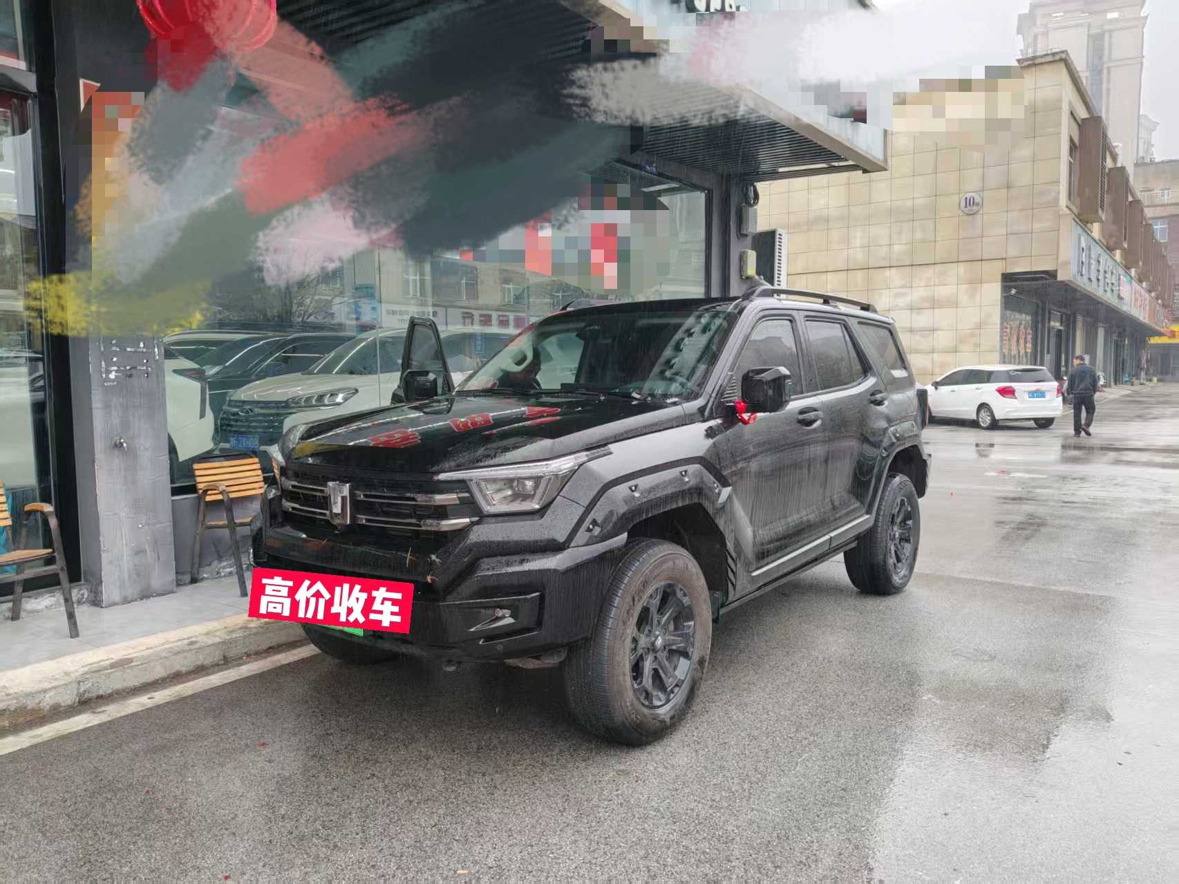 Tank 400 New Energy 2024 汽车图片 