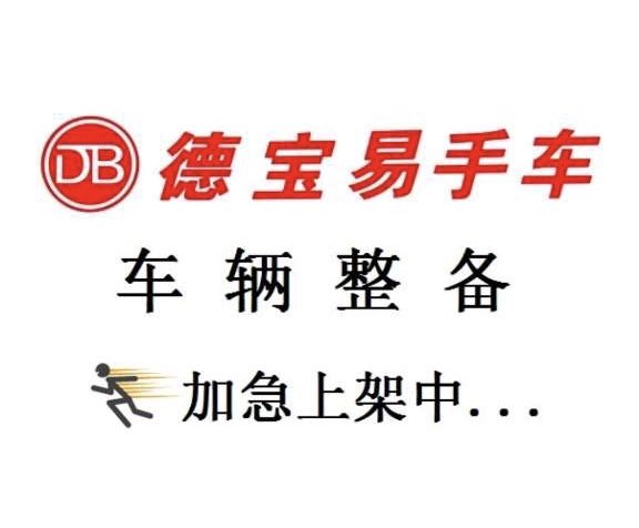 Haval X Dog 2 New Energy 2024 car image 