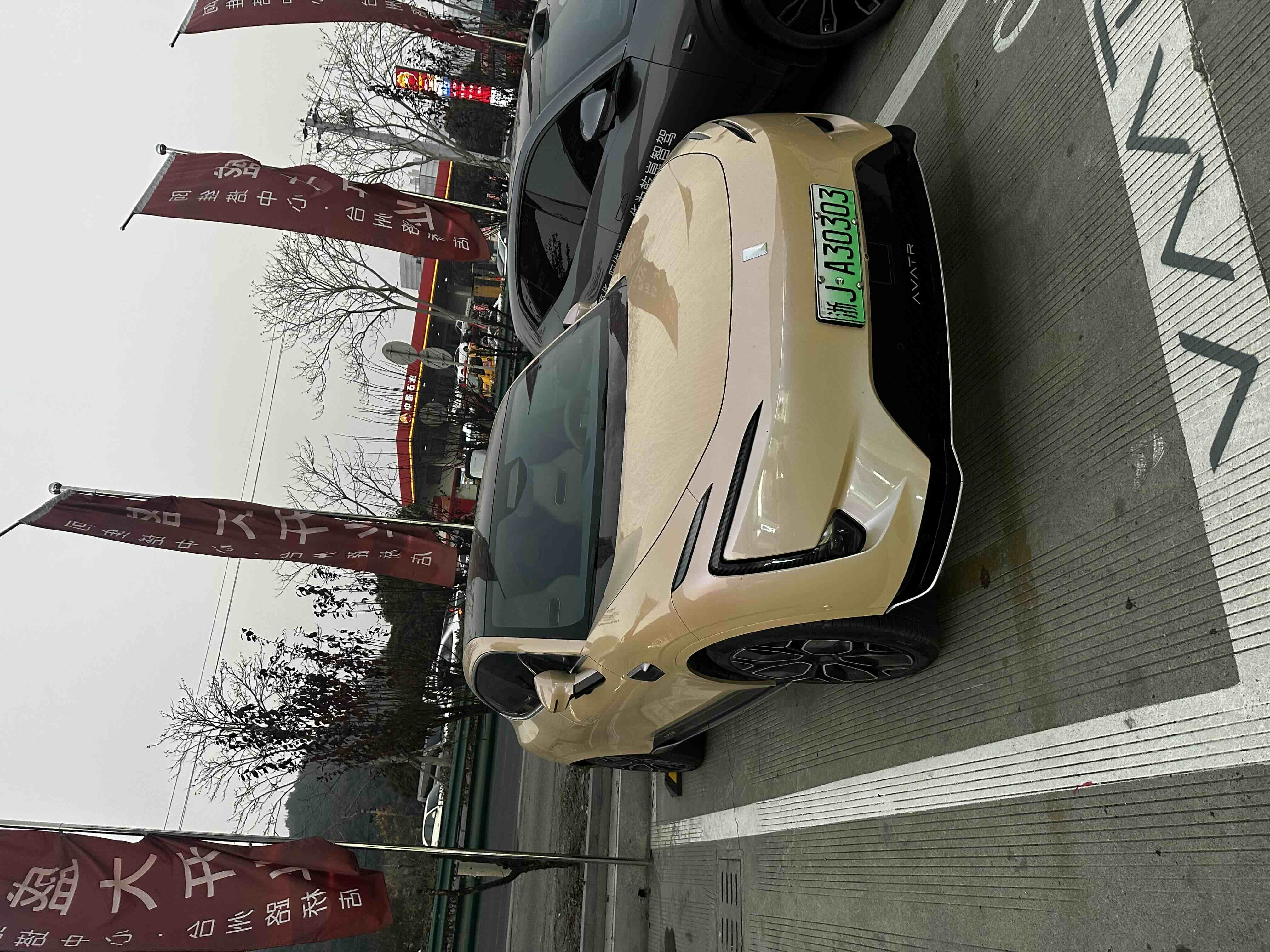 阿维塔 阿维塔11 2024 汽车图片 