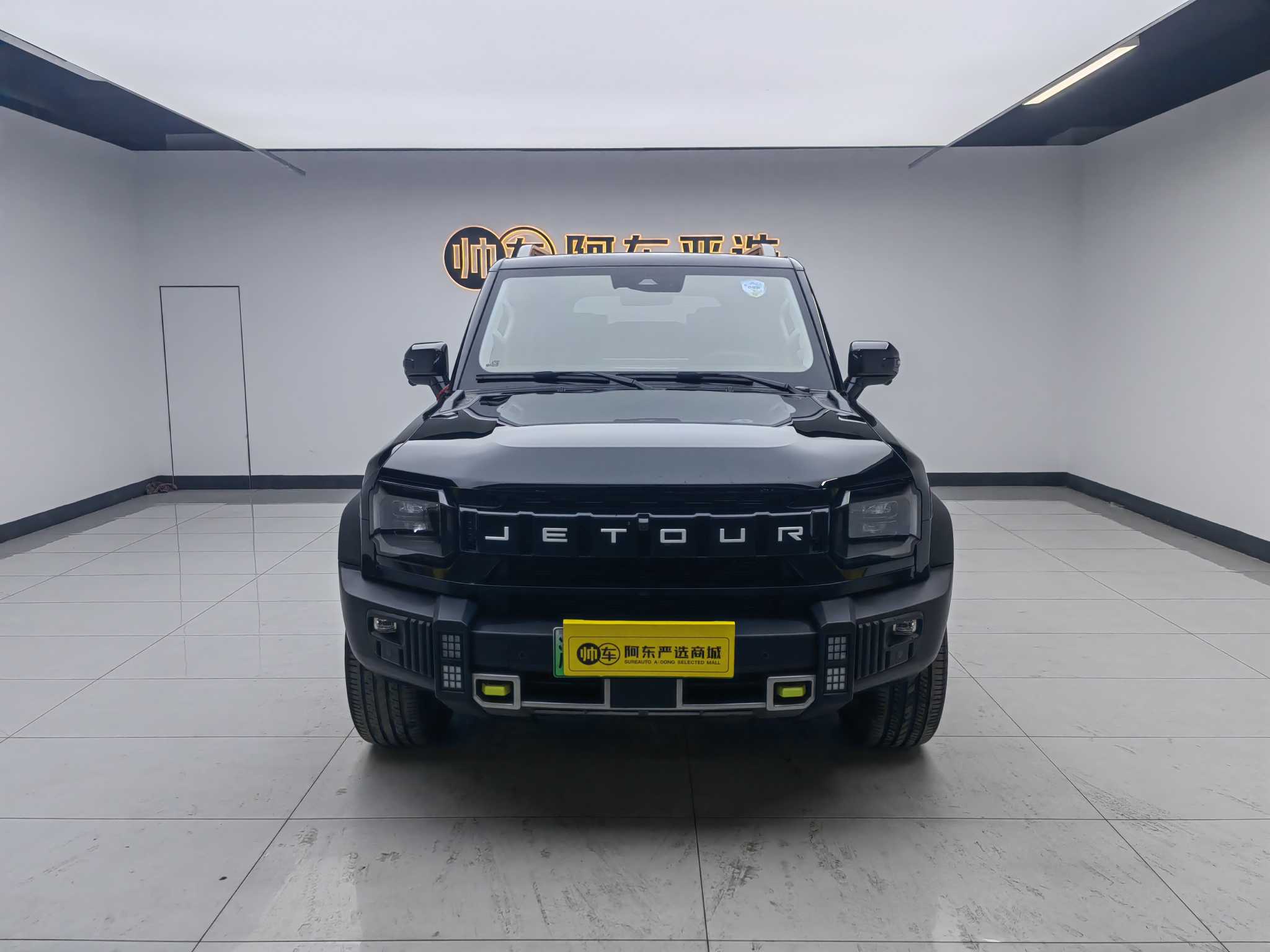 Jetour Shanhai T2 2024 汽车图片 