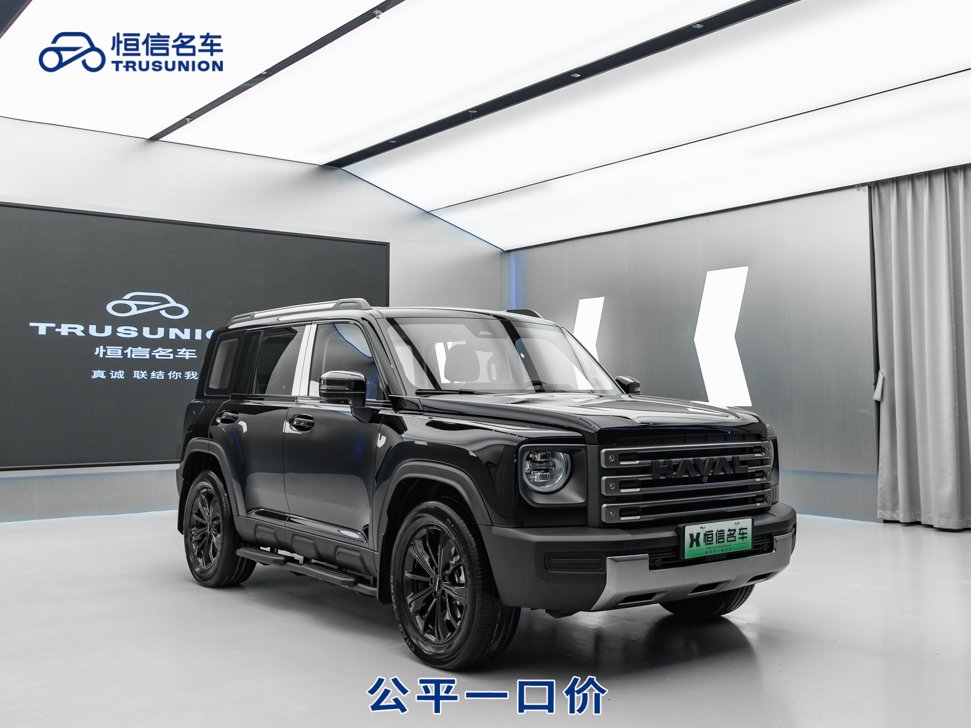 Haval Raptor 2024 car image 