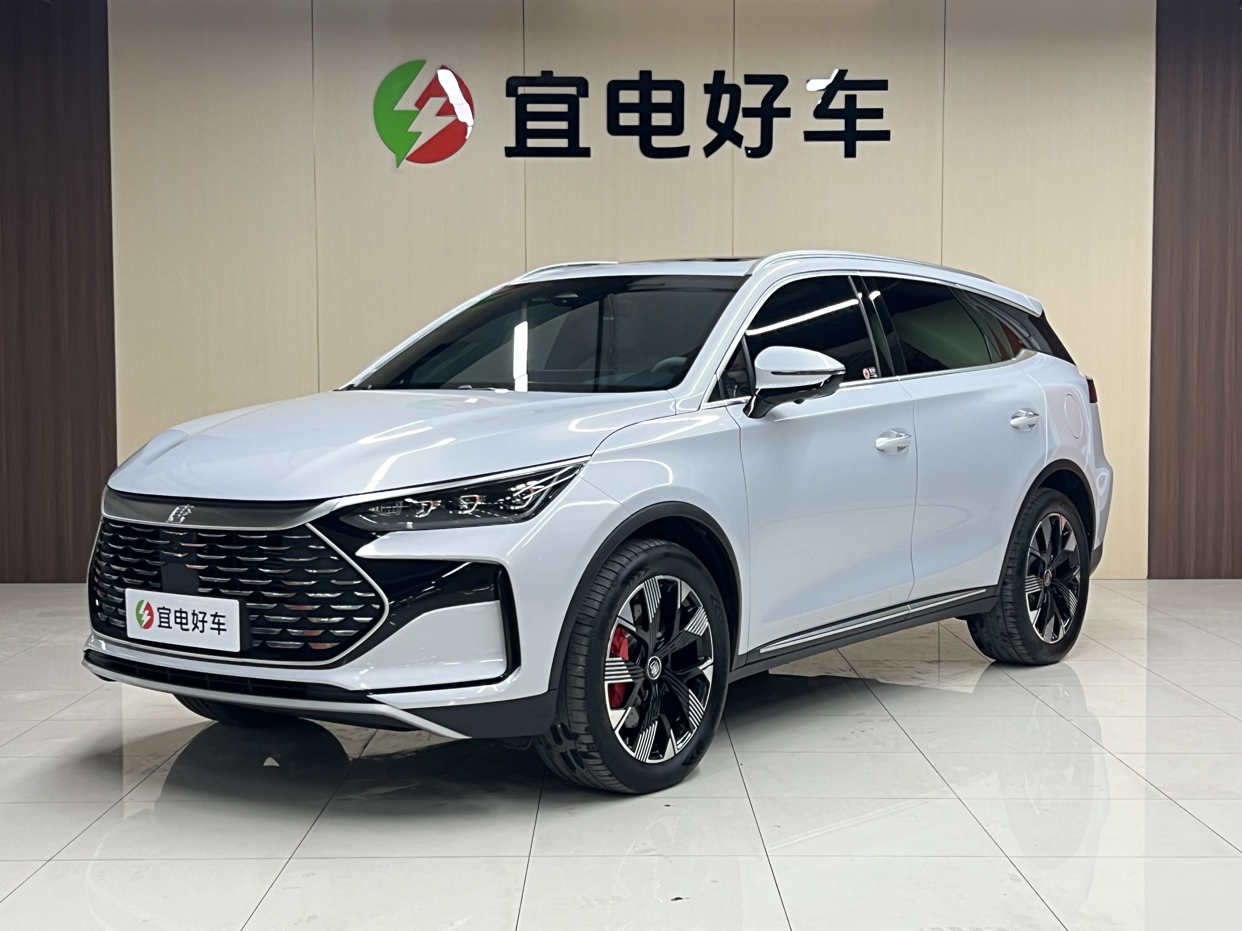 BYD Tang New Energy 2024 car image 