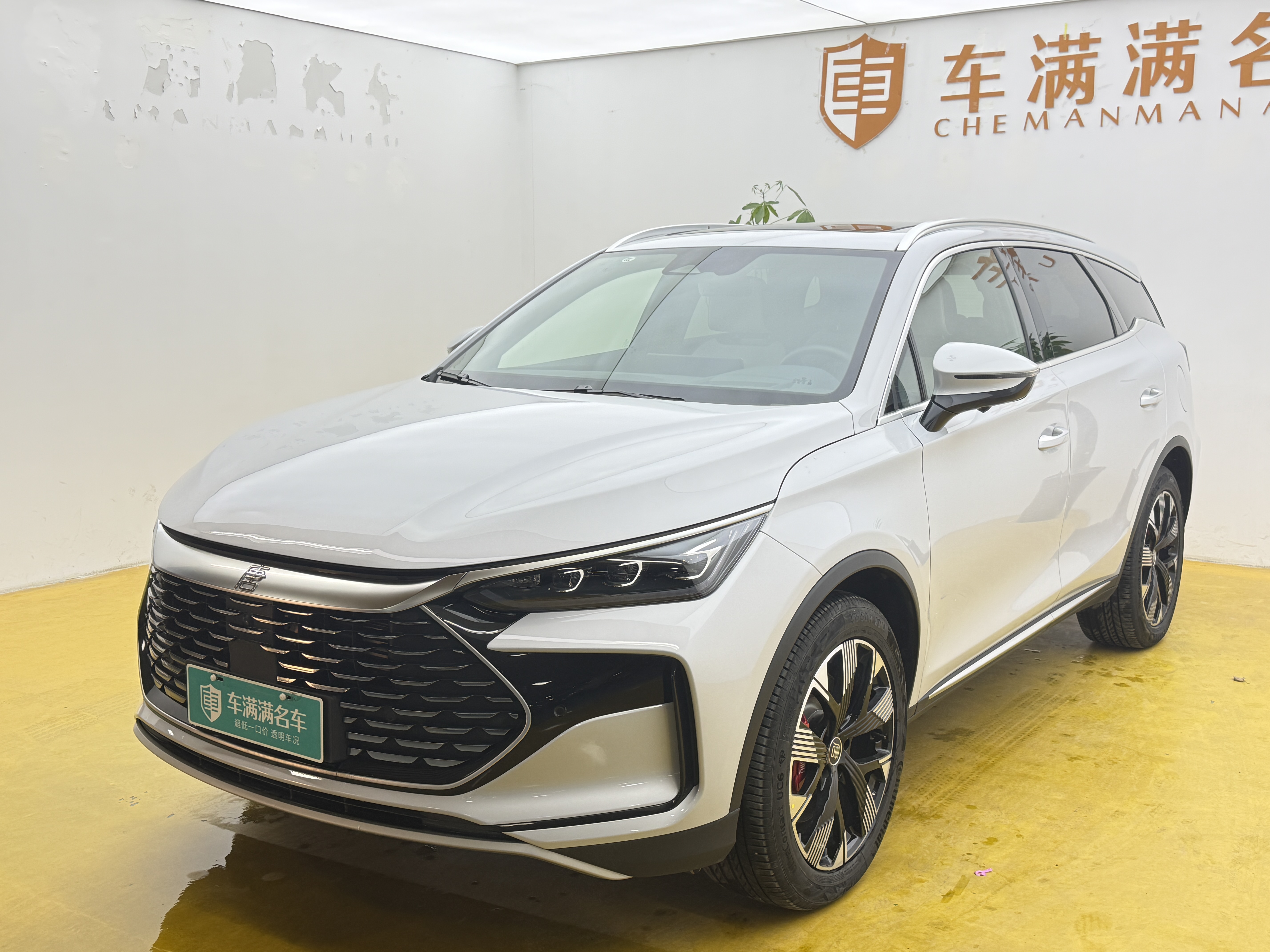 BYD Tang New Energy 2025 immagine di auto 