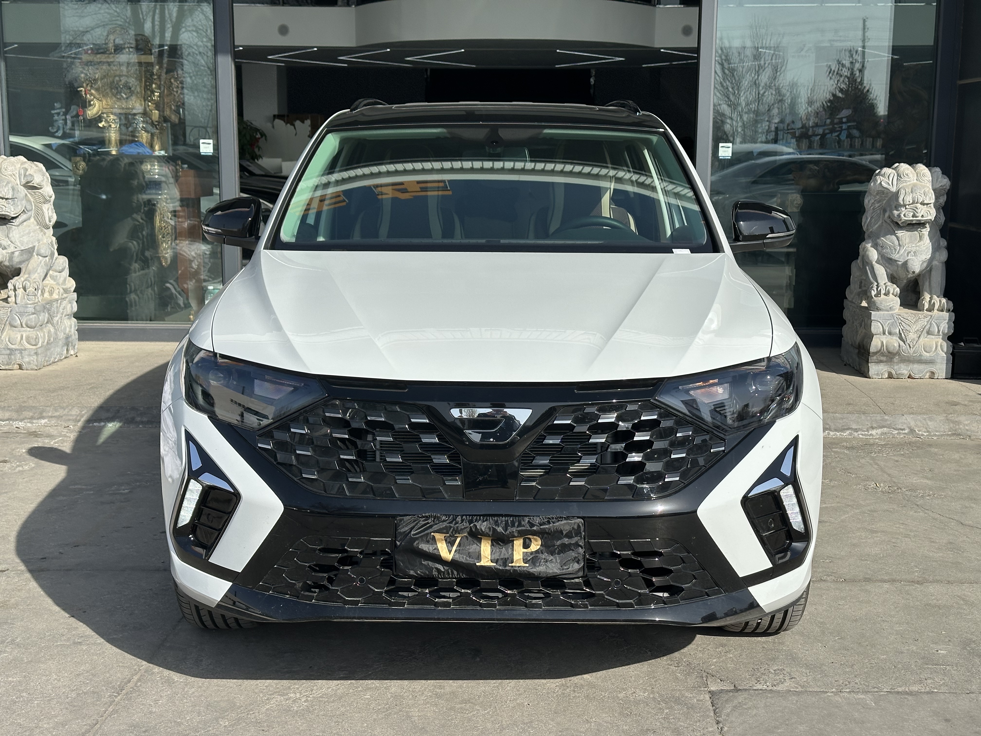 Jetta VS5 2025 汽车图片 