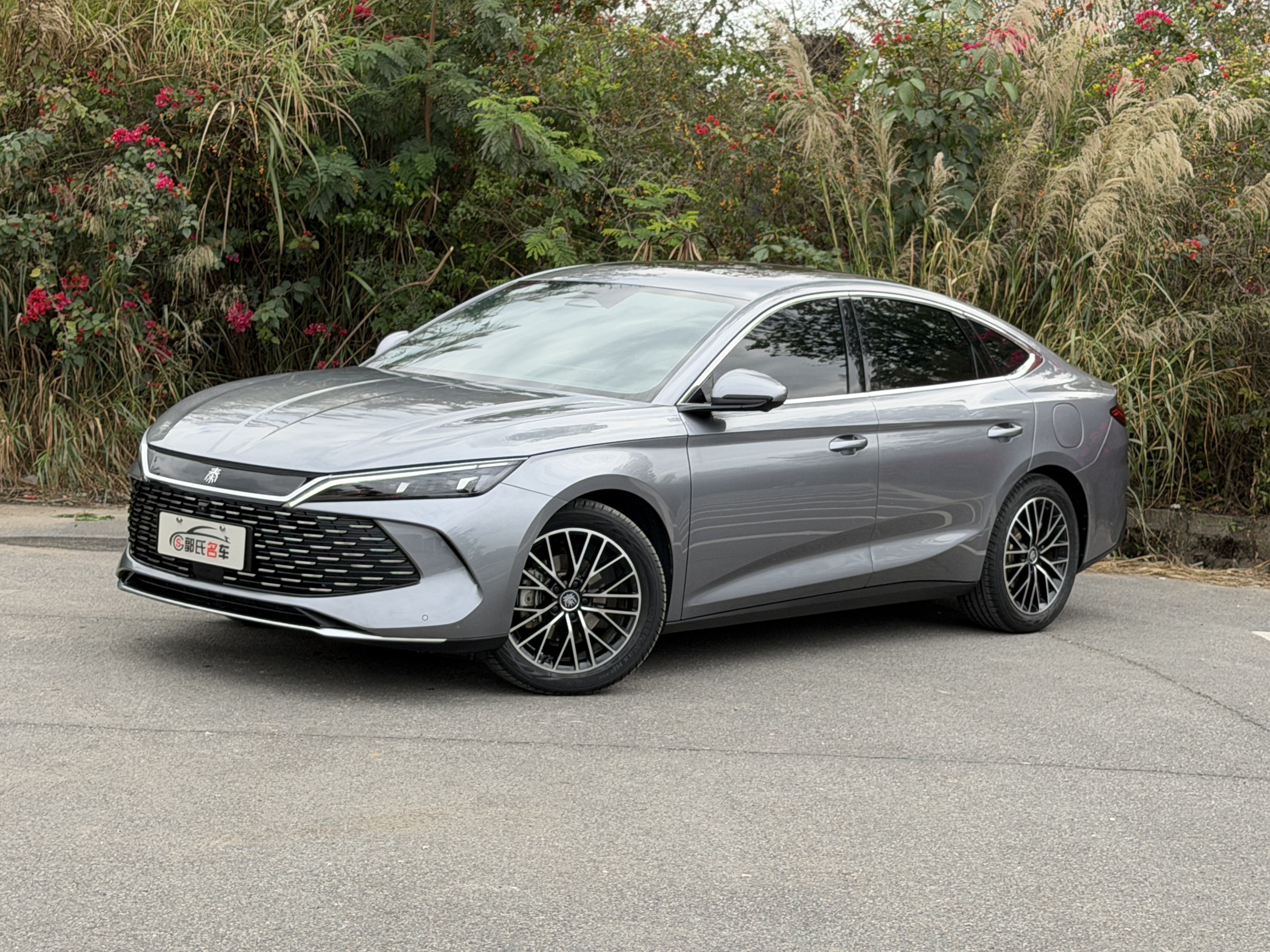 BYD Qin L 2024 immagine di auto 