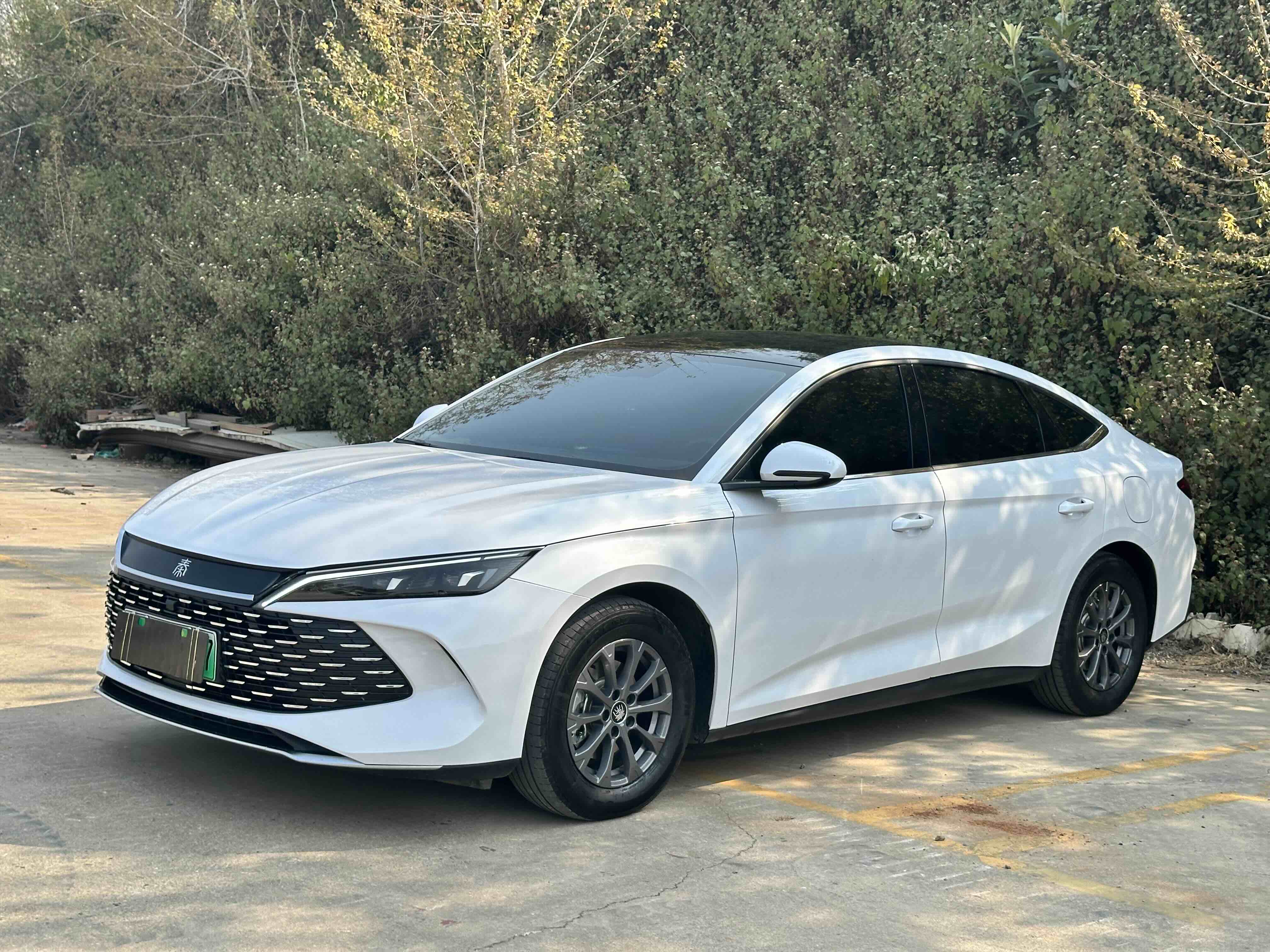 BYD Qin L 2025 immagine di auto 