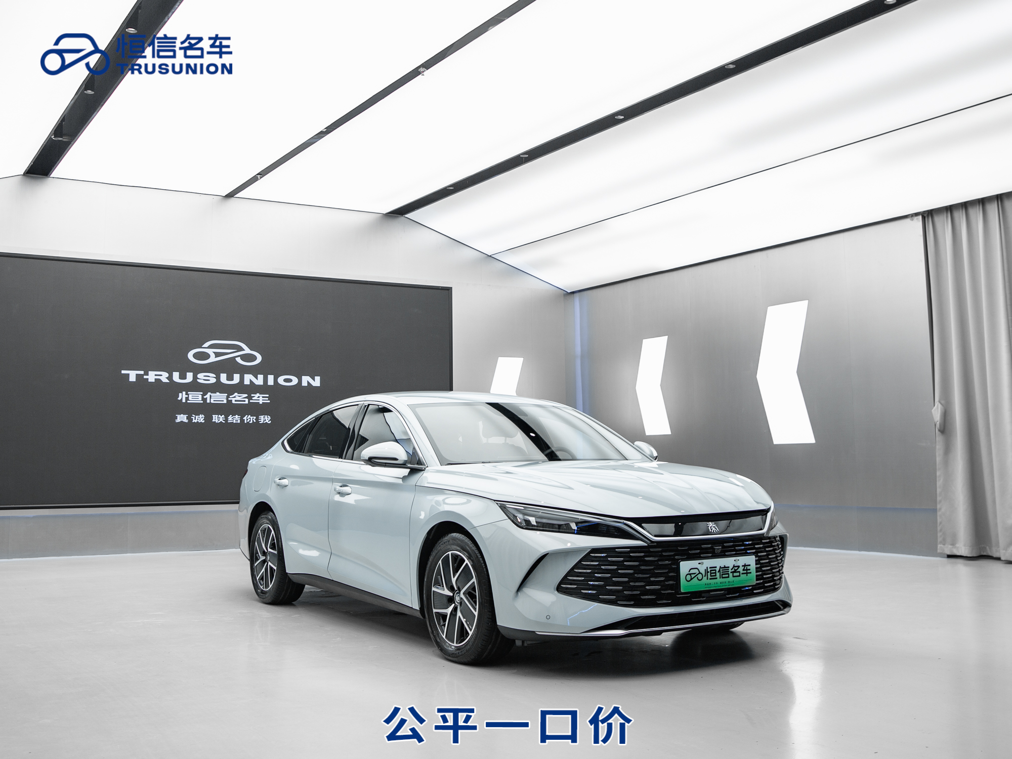BYD Qin L 2024 immagine di auto 