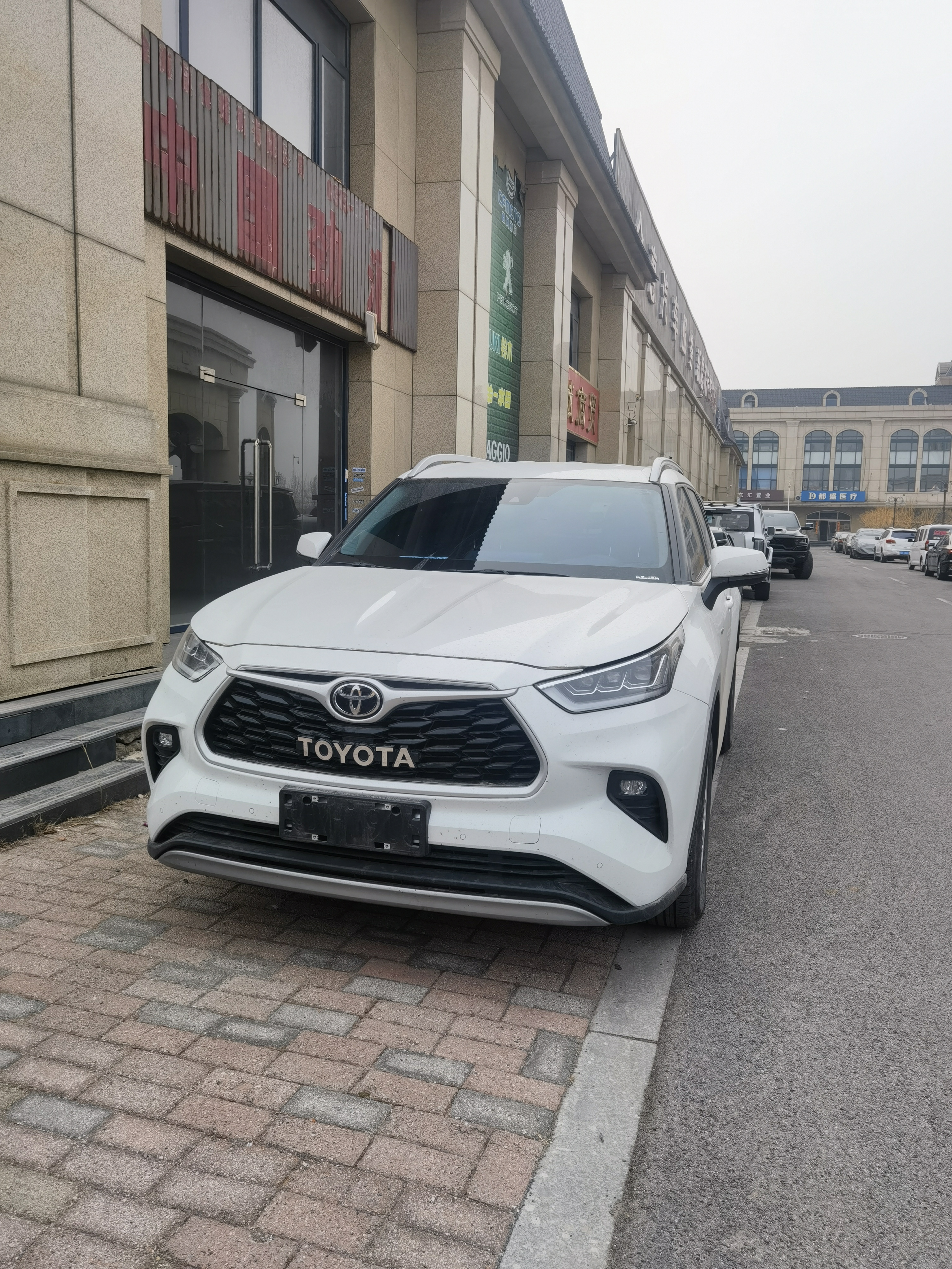 Toyota Highlander 2024 汽车图片 