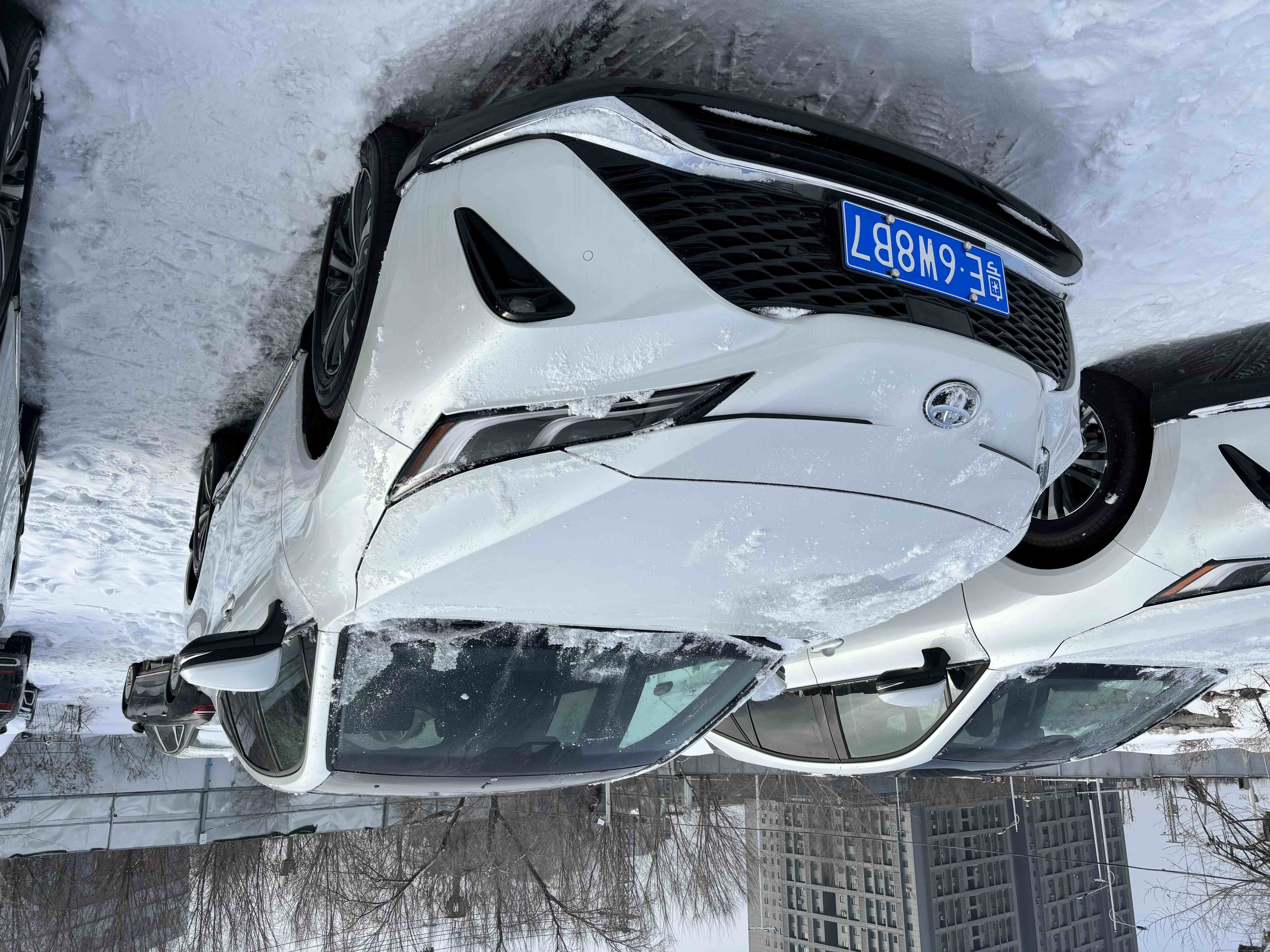 Toyota Venza 2025 Toyota Venza 2025 immagine di auto