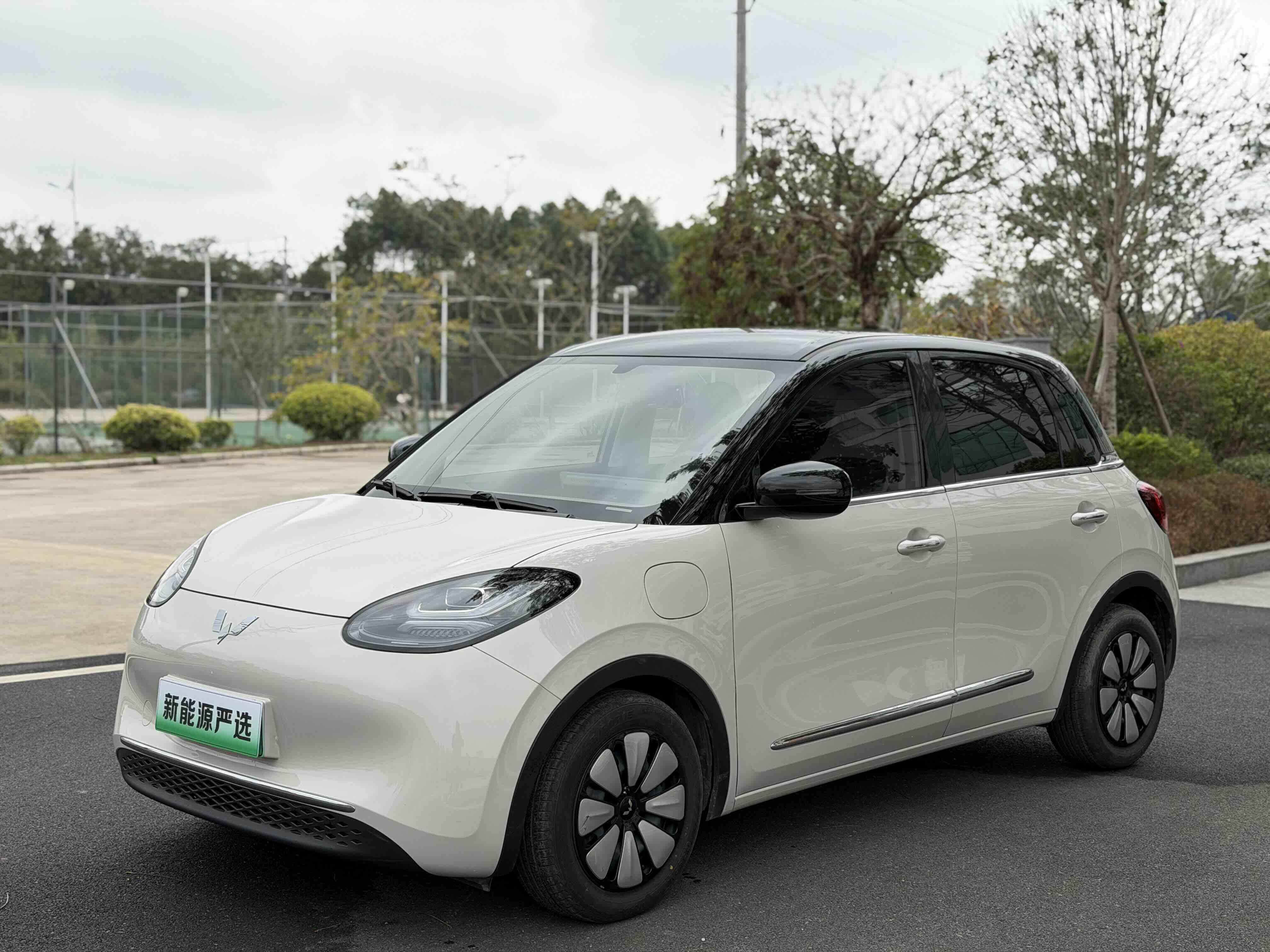 Wuling Binguo 2025 汽车图片 