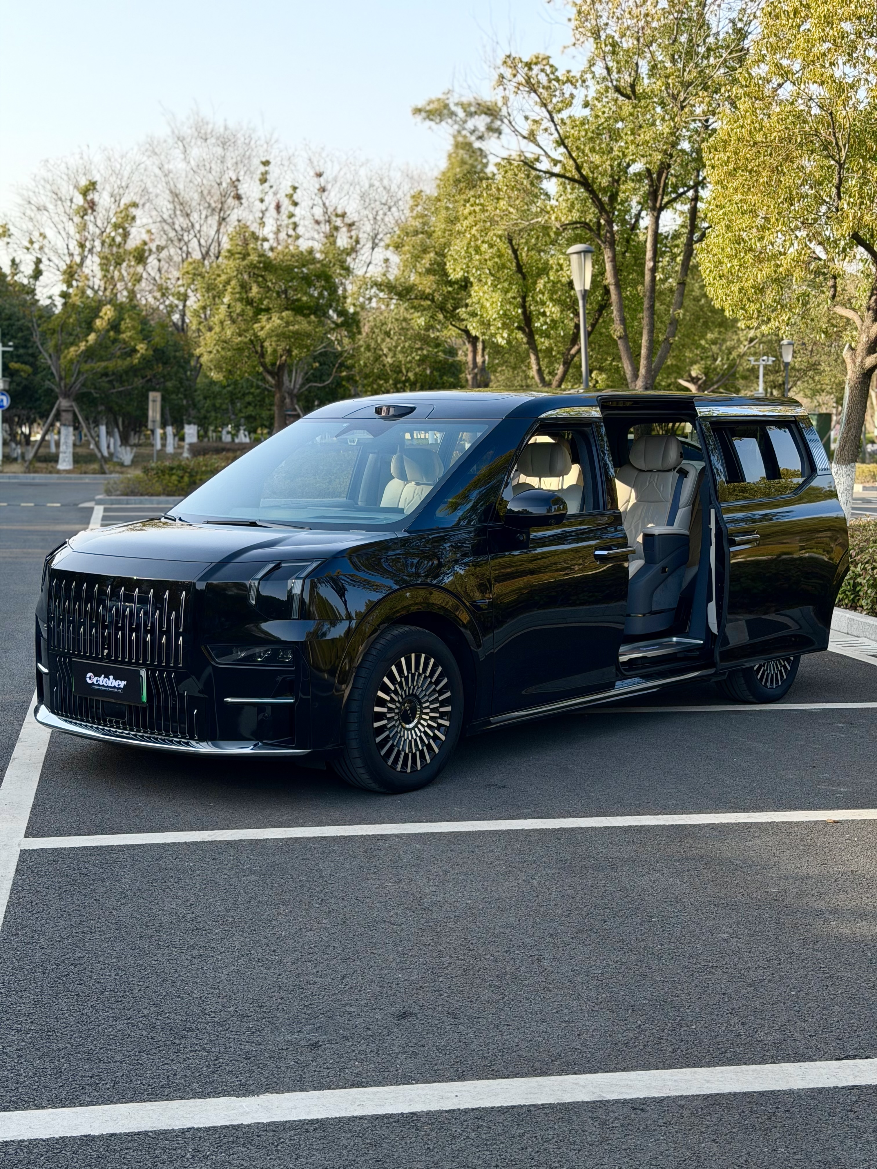 Zeekr 009 2024 汽车图片 