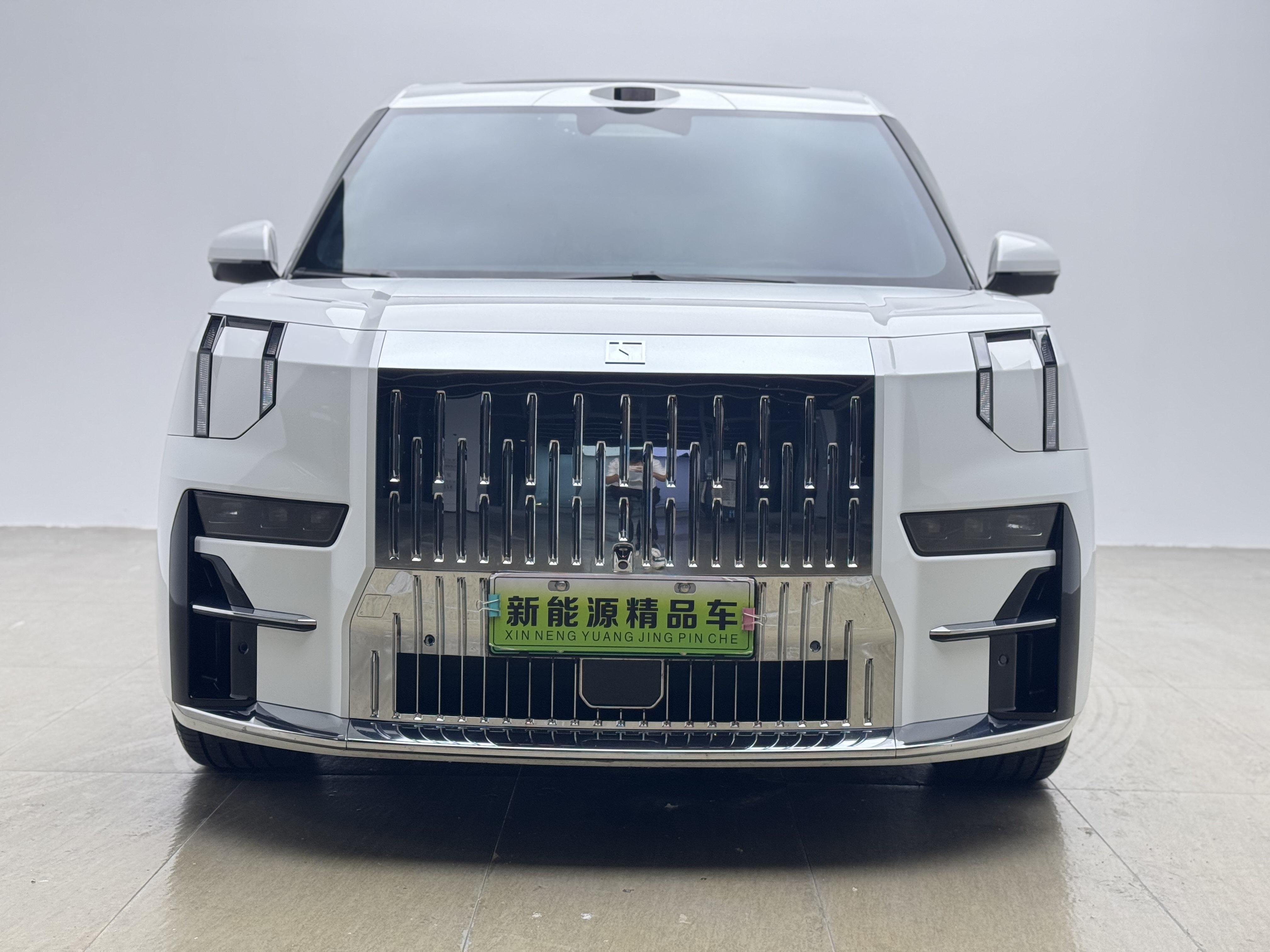 Zeekr 009 2024 汽车图片 