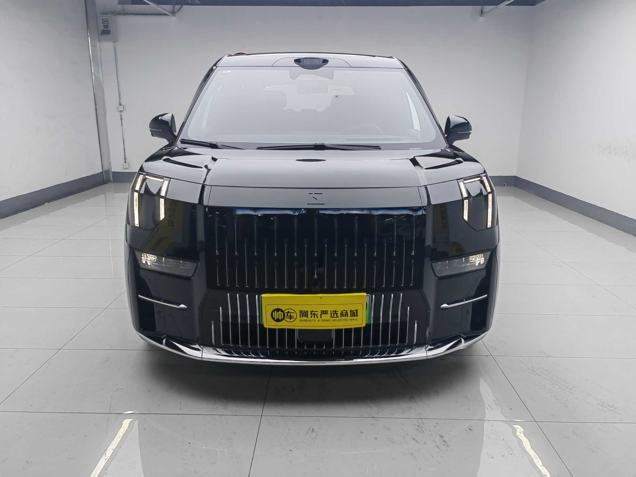 Zeekr 009 2024 汽车图片 