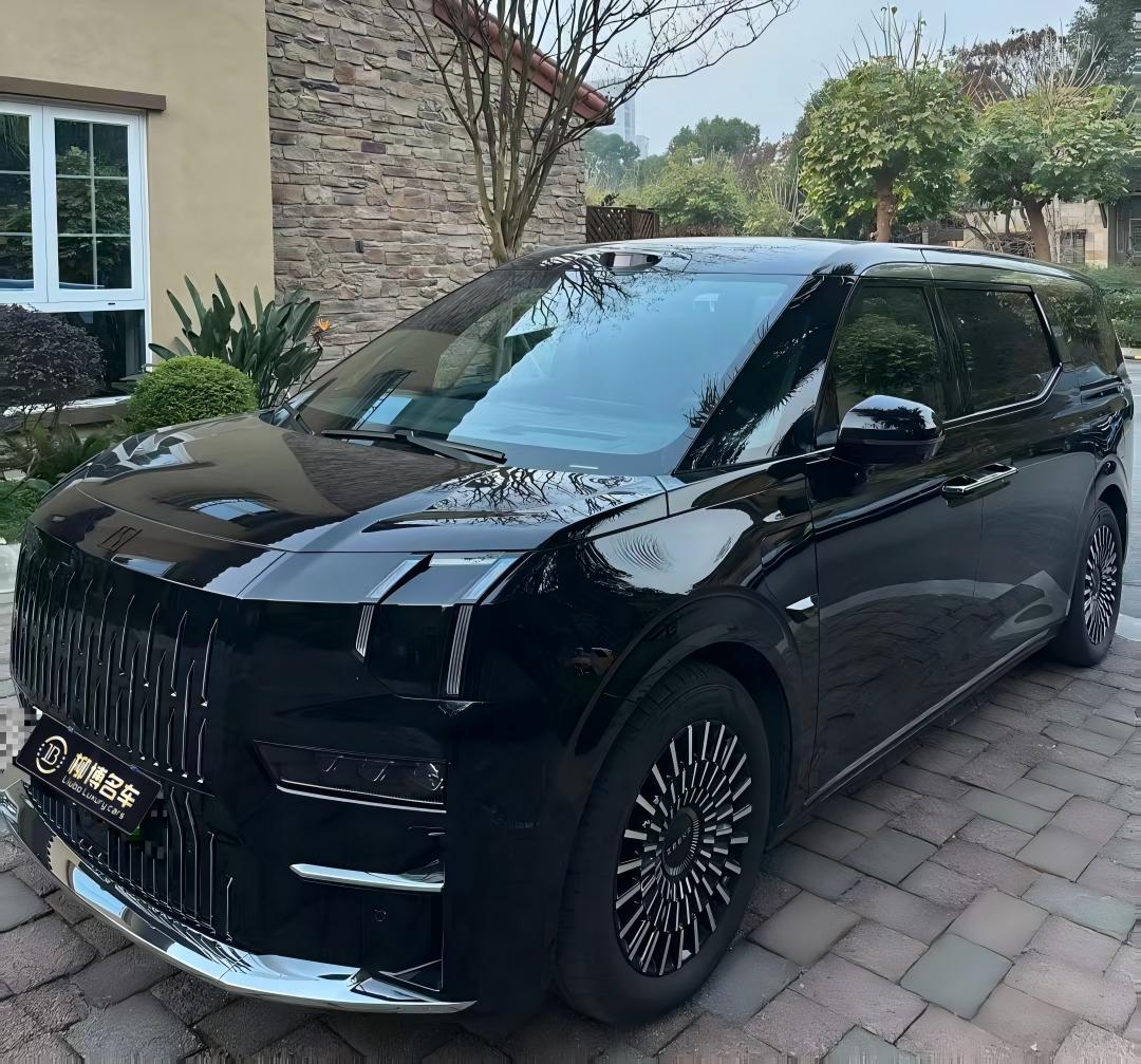 Zeekr 009 2025 汽车图片 