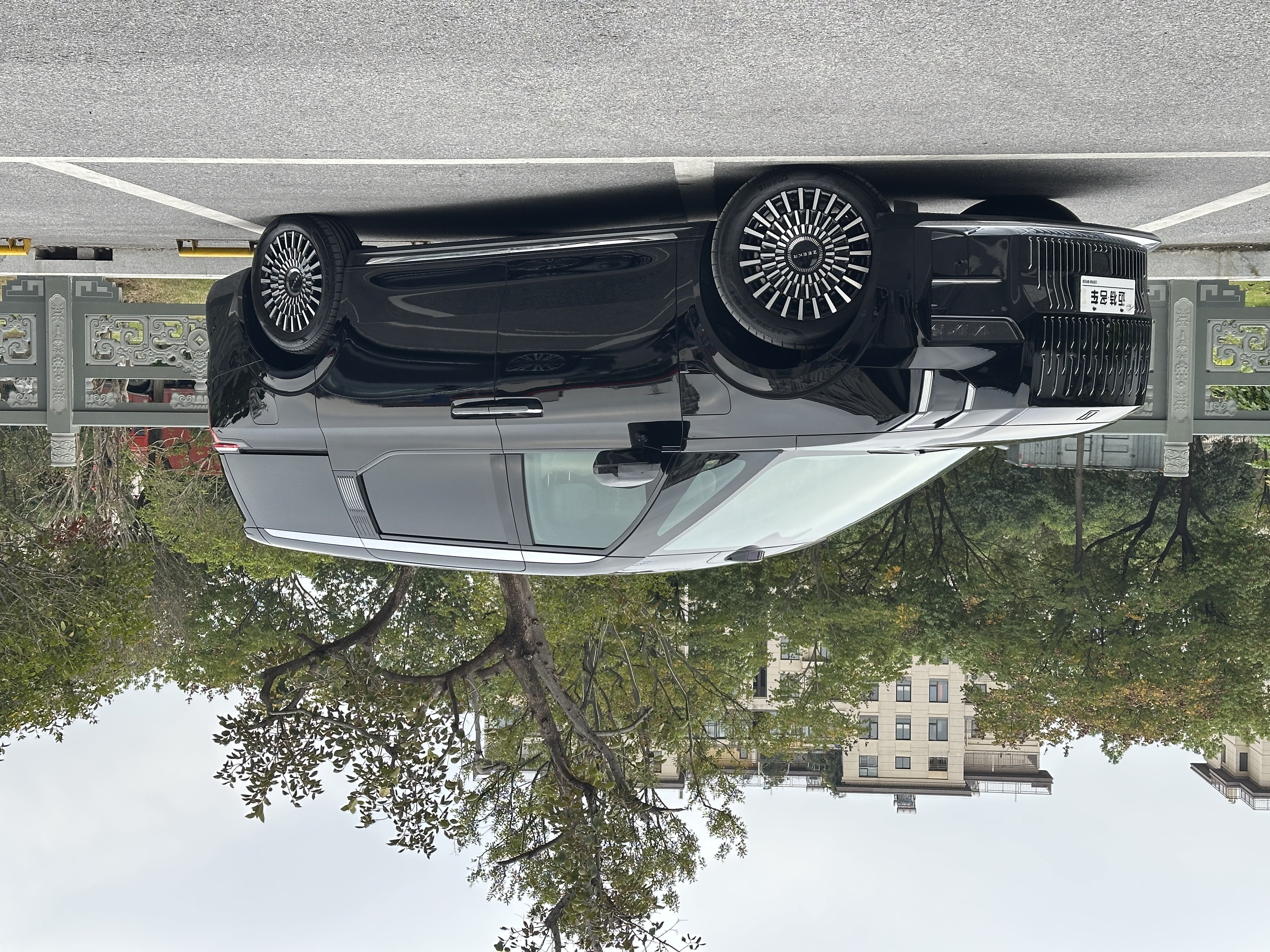 Zeekr 009 2024 汽车图片 