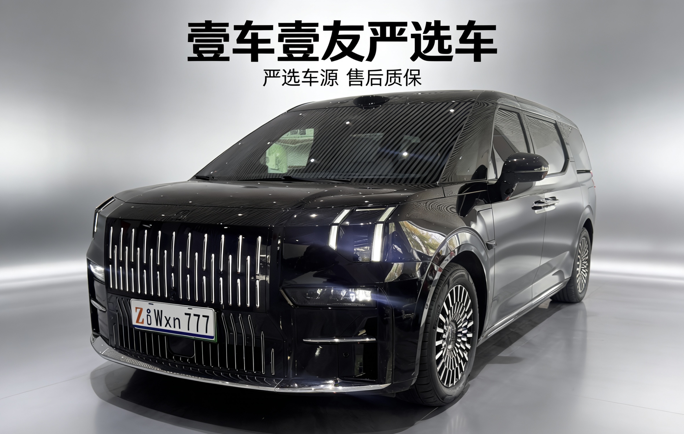 Zeekr 009 2024 汽车图片 