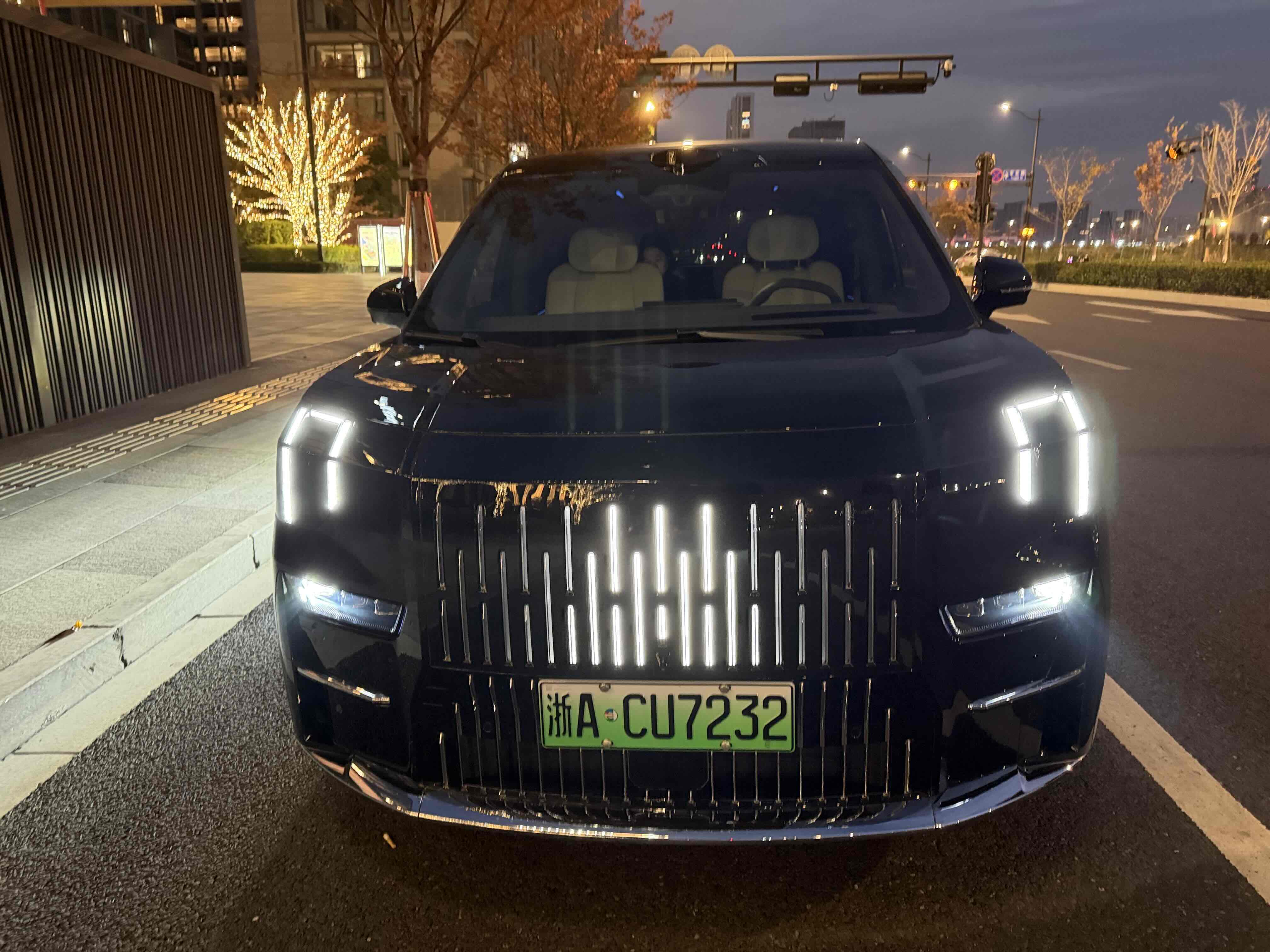 Zeekr 009 2024 汽车图片 