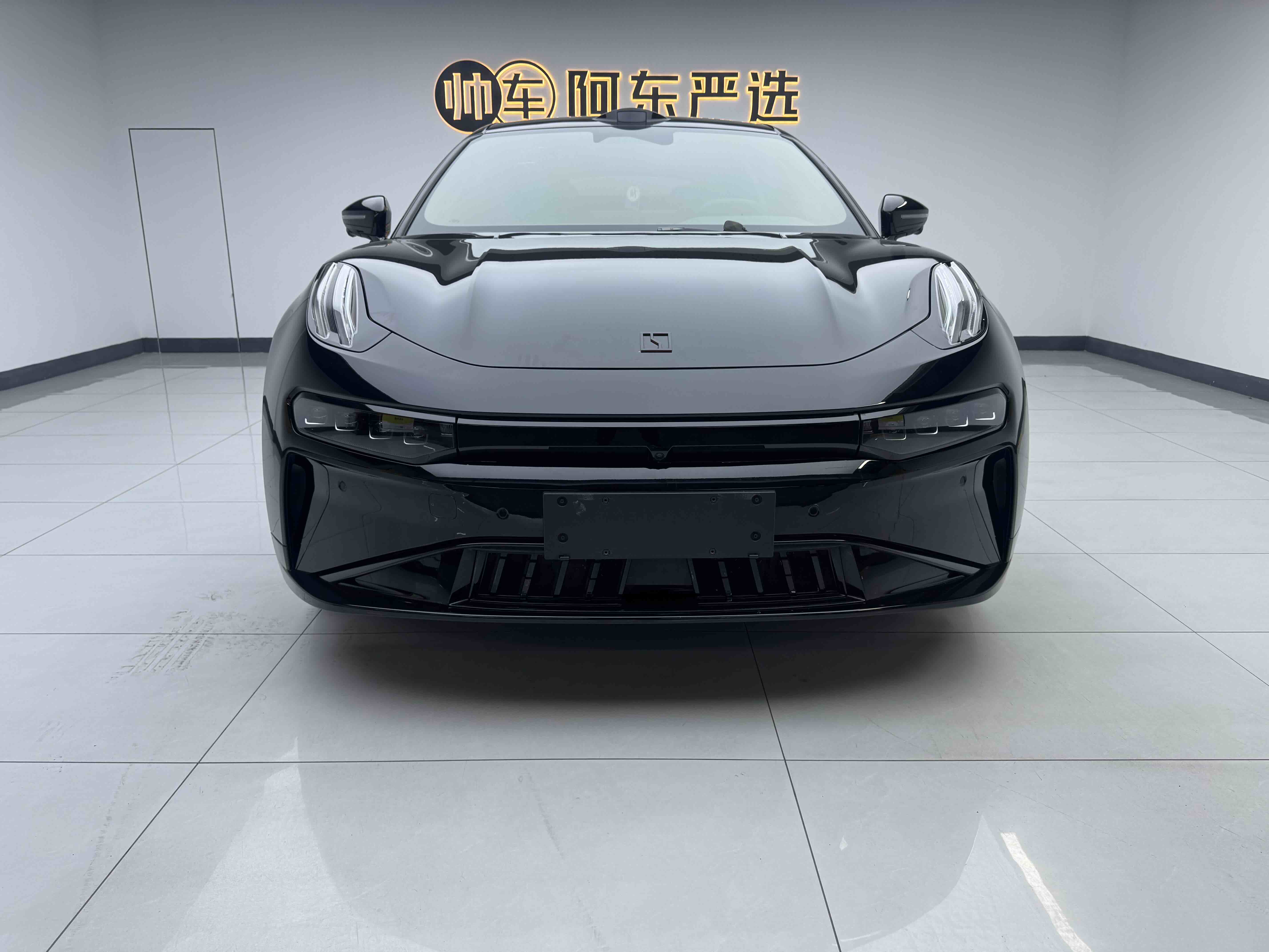 Zeekr 001 2024 汽车图片 