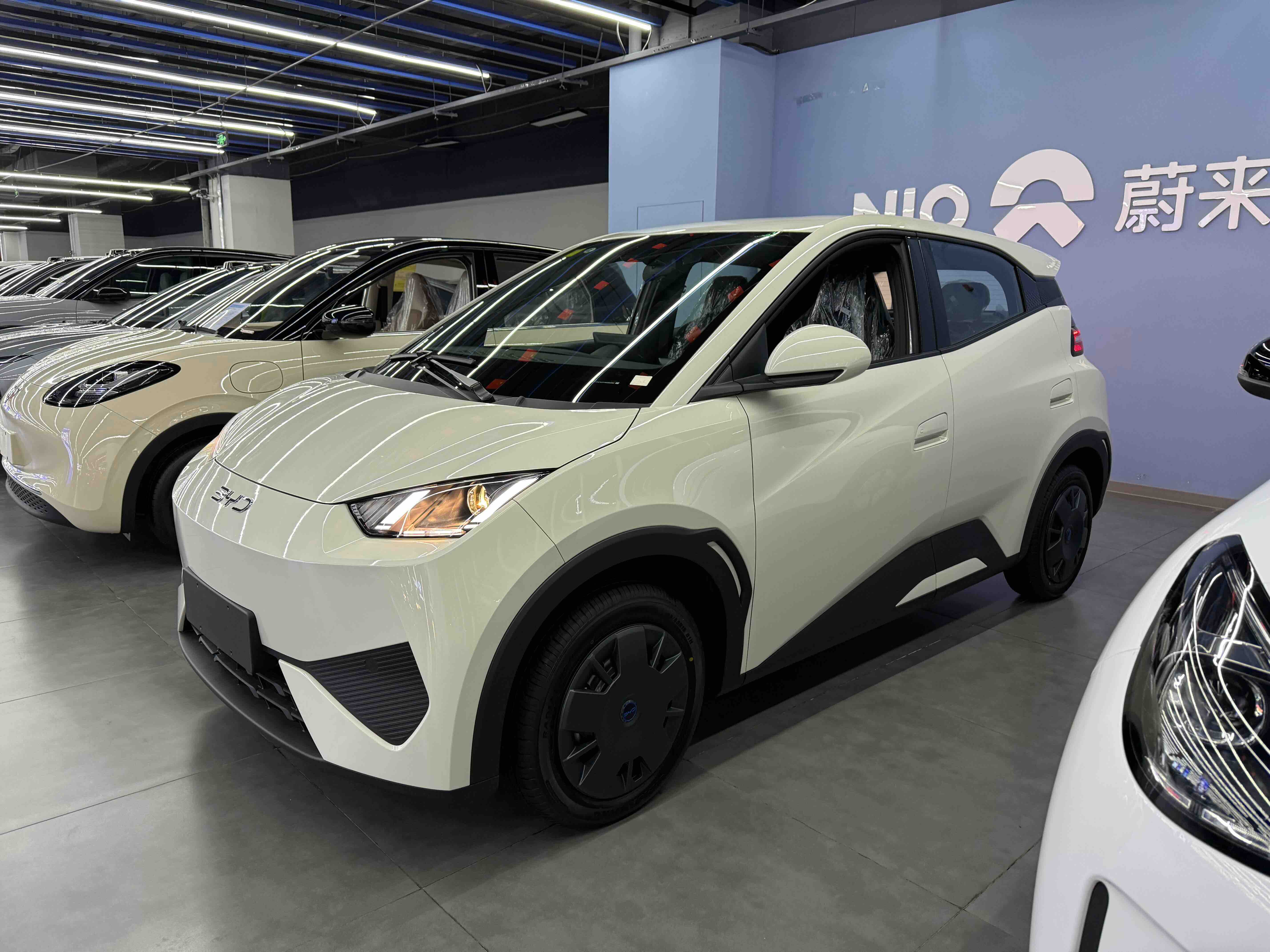 BYD Seagull 2025 car image 