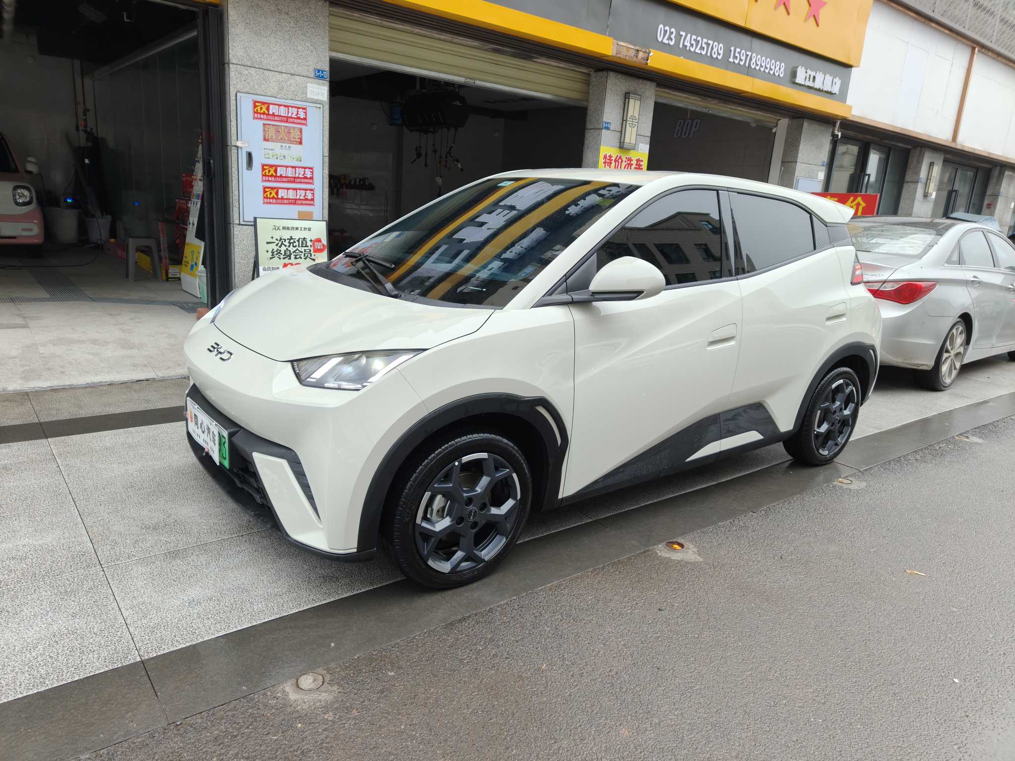 BYD Seagull 2025 immagine di auto 