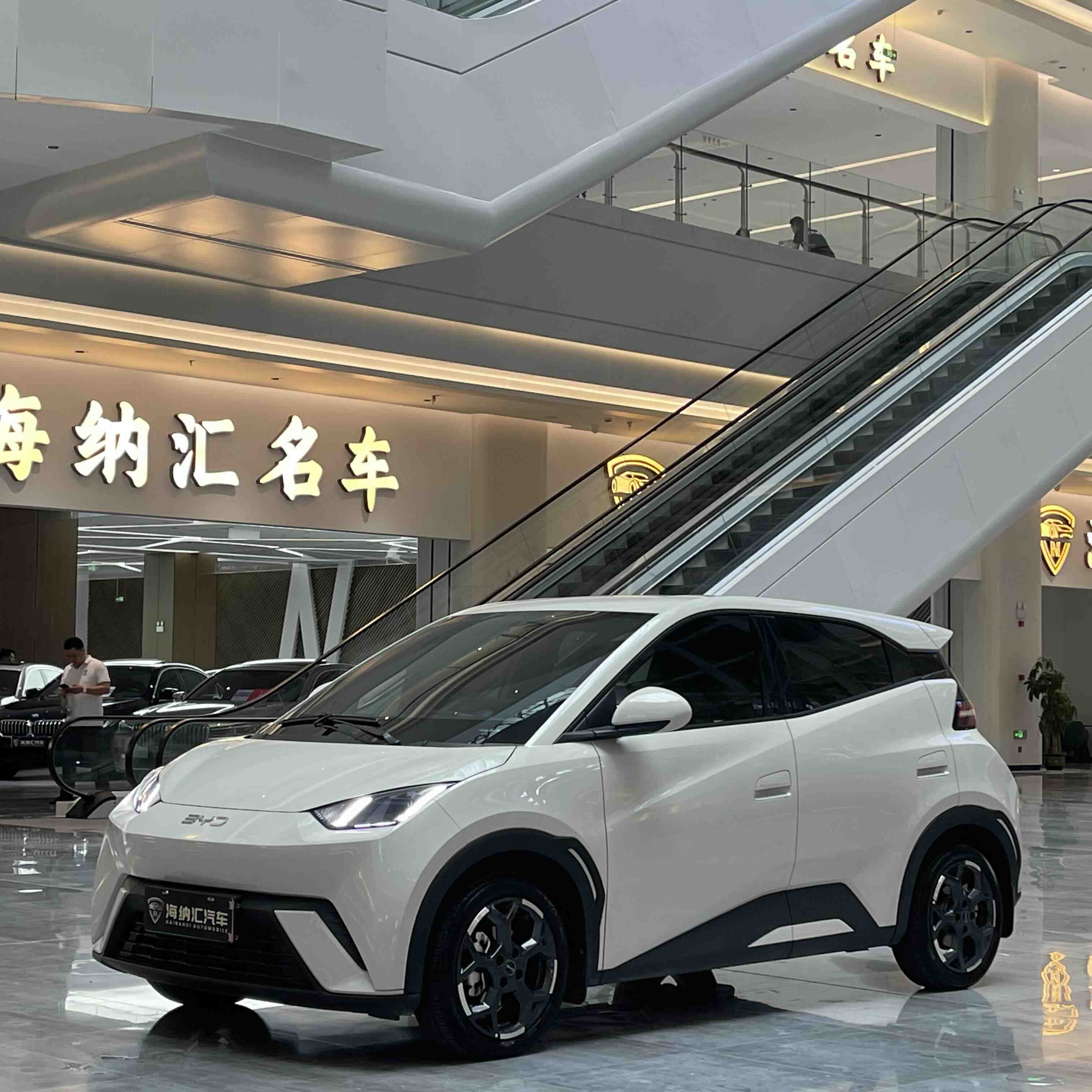 BYD Seagull 2024 car image 