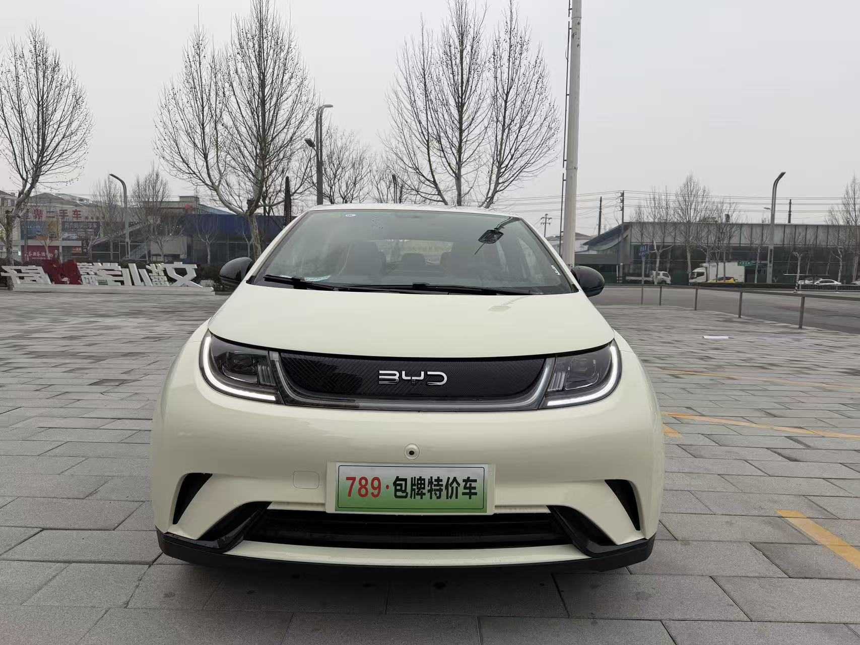 BYD Dolphin 2026 car image 