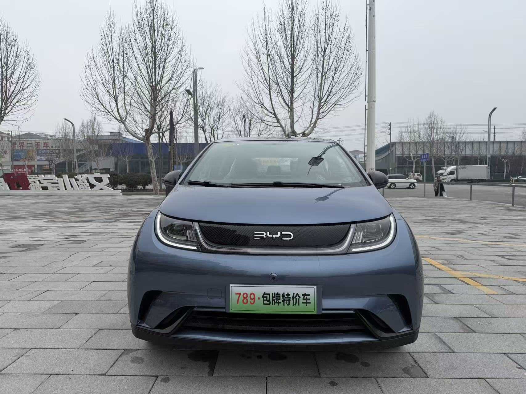 BYD Dolphin 2026 car image 