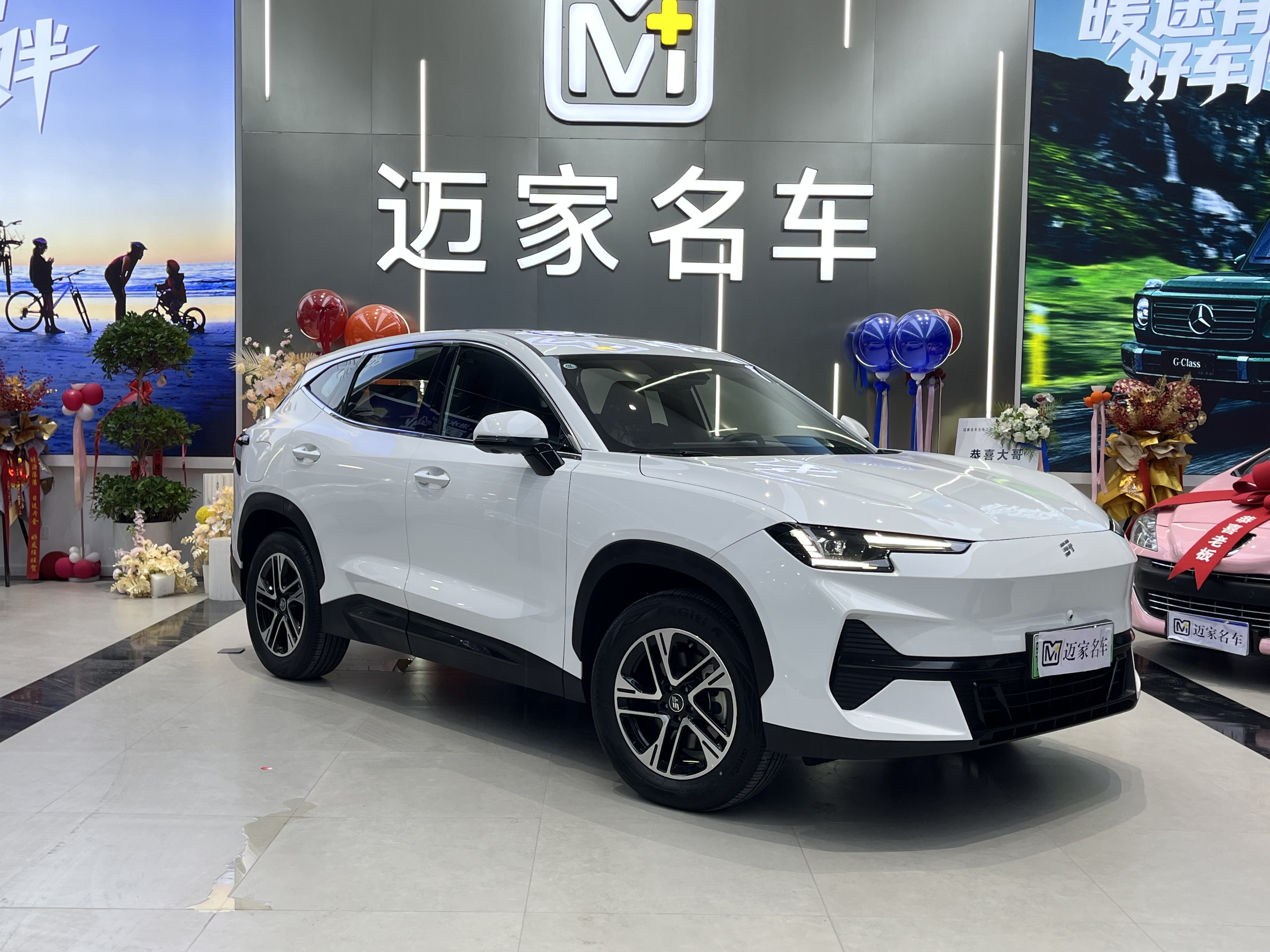Jetour Shanhai L6 2025 汽车图片 