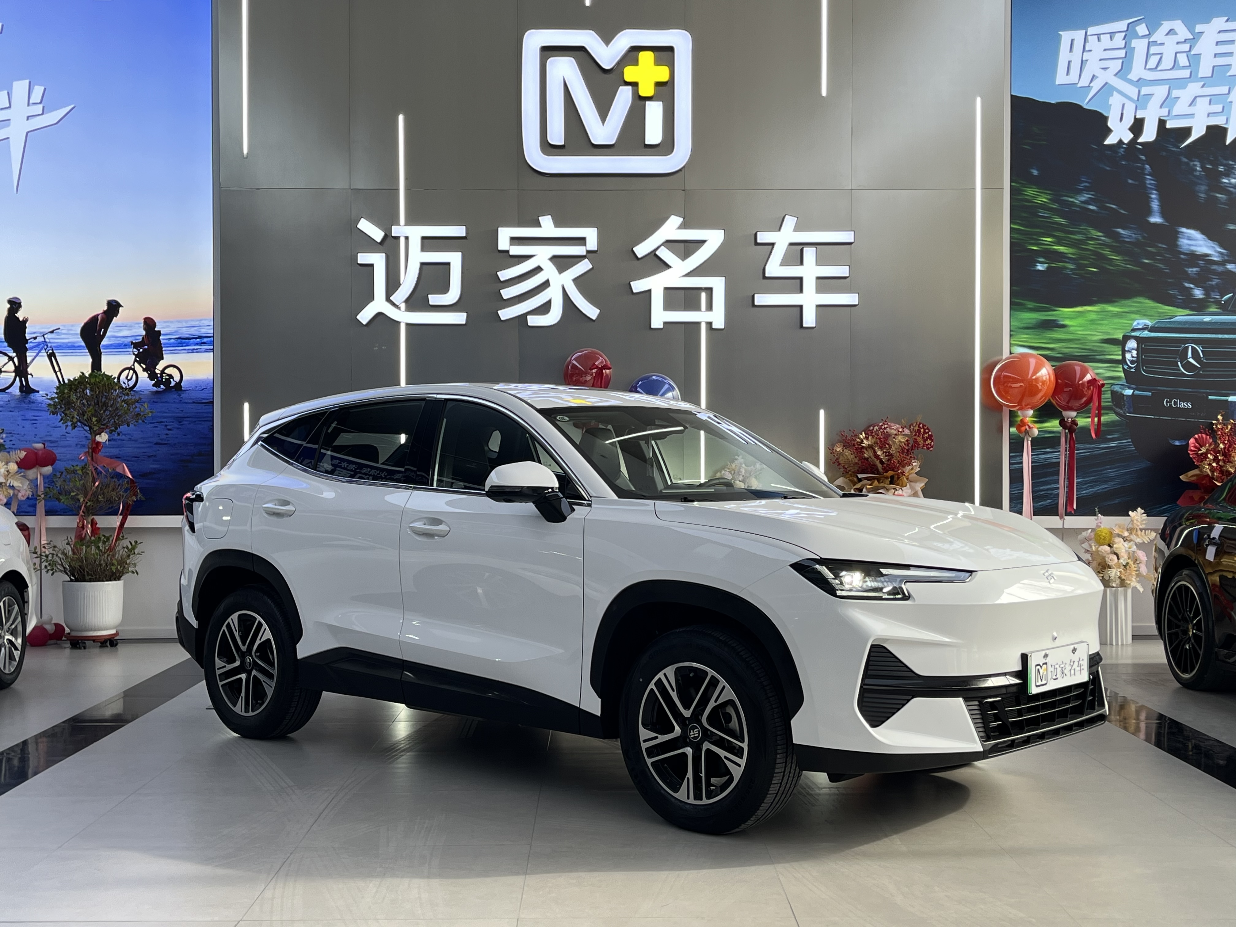 Jetour Shanhai L6 2025 汽车图片 