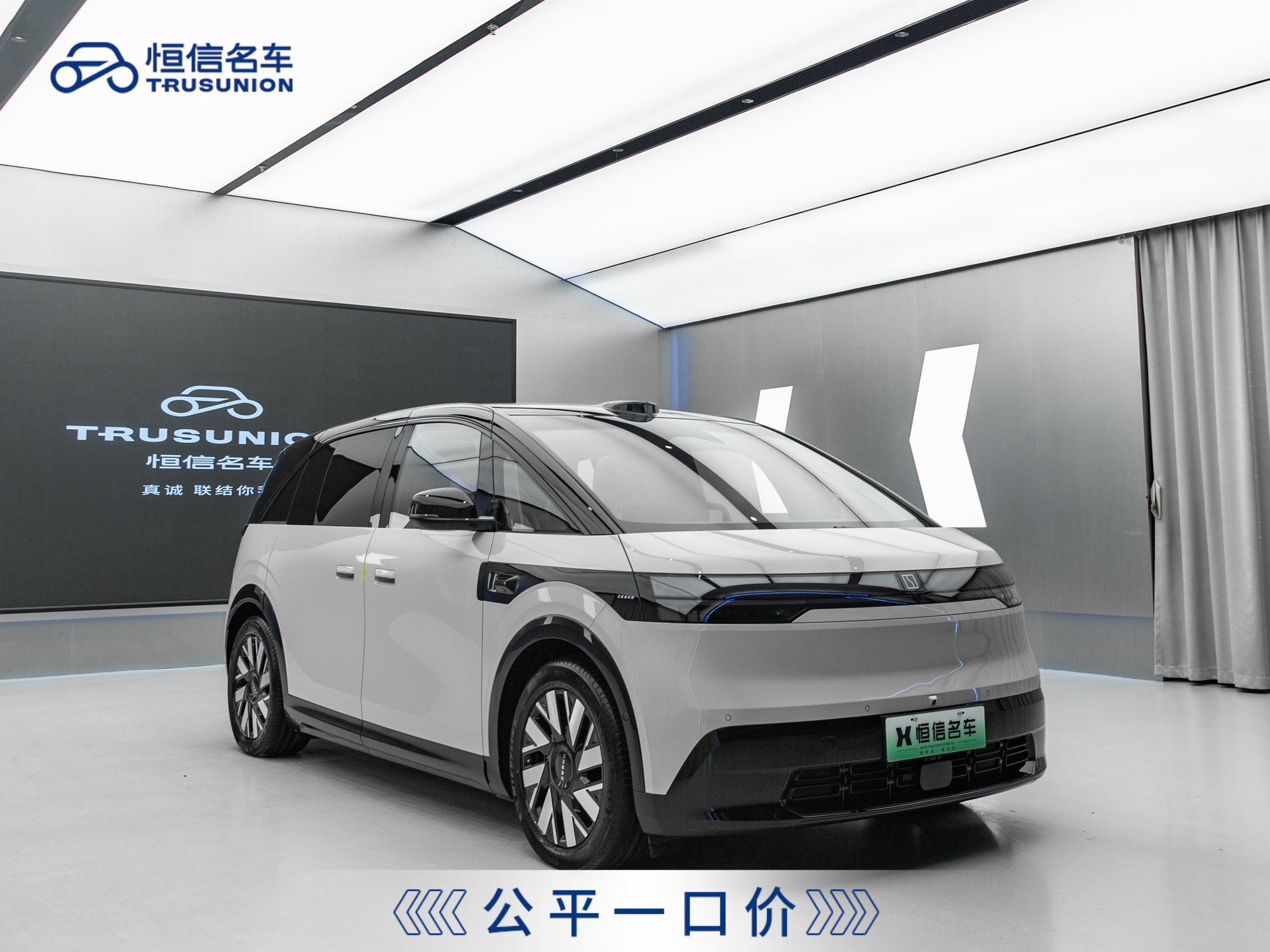 Zeekr MIX 2024 汽车图片 