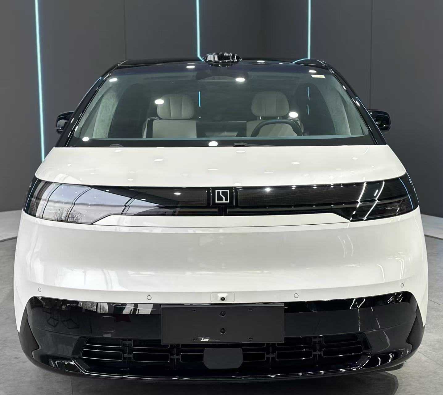 Zeekr MIX 2024 汽车图片 